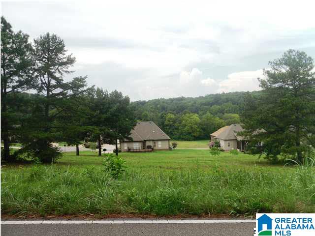 Village Springs Road, Unit 6 Springville, AL 35146 - Photo 6 of 11