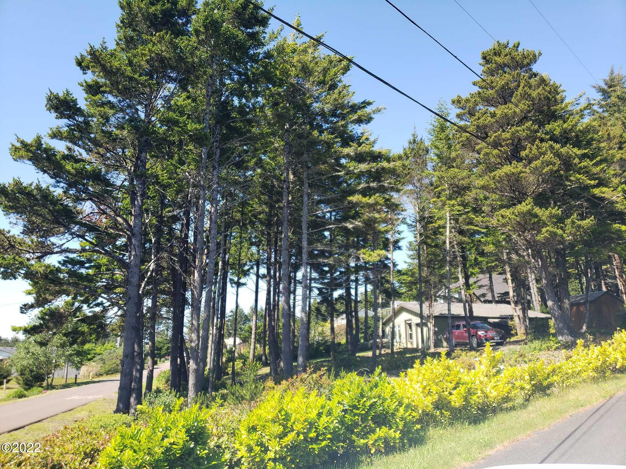 2005 Northwest View Ridge Drive Waldport, OR 97394 - Photo 2 of 17 Corner treed lot