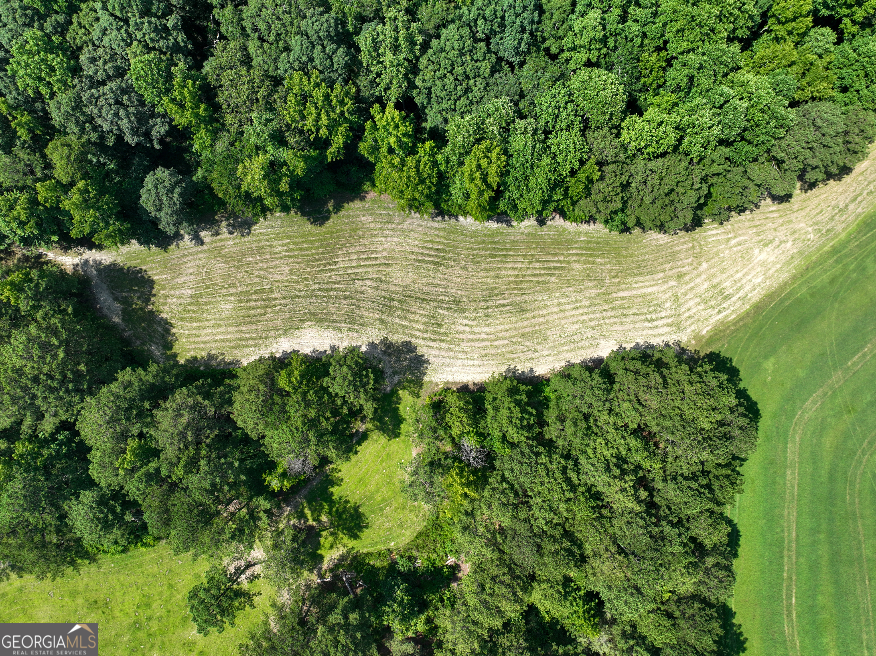 0 Silver Dollar Road Milner, GA 30204 - Photo 11 of 34