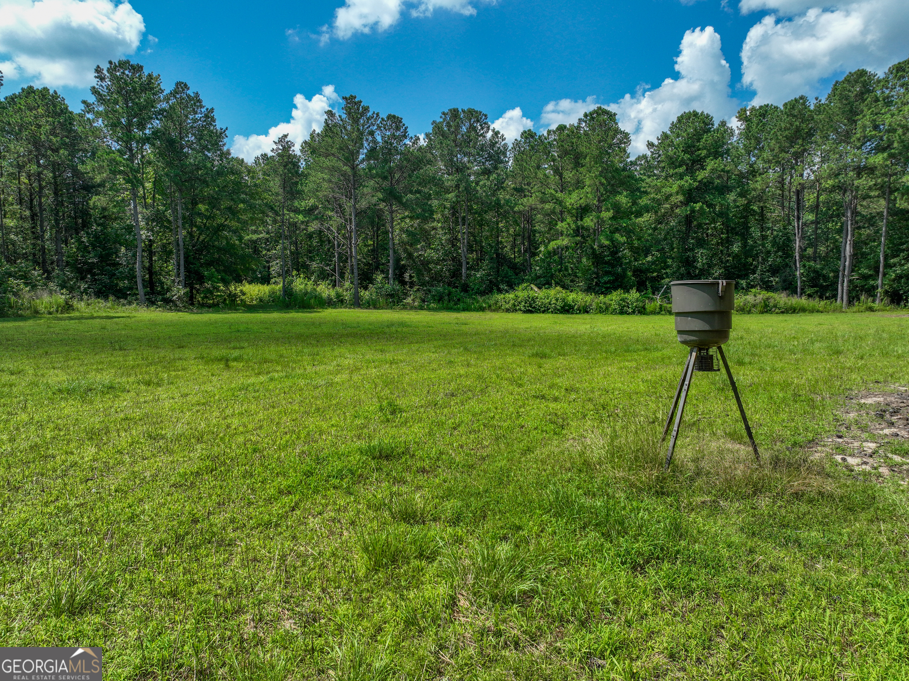 0 Silver Dollar Road Milner, GA 30204 - Photo 12 of 34