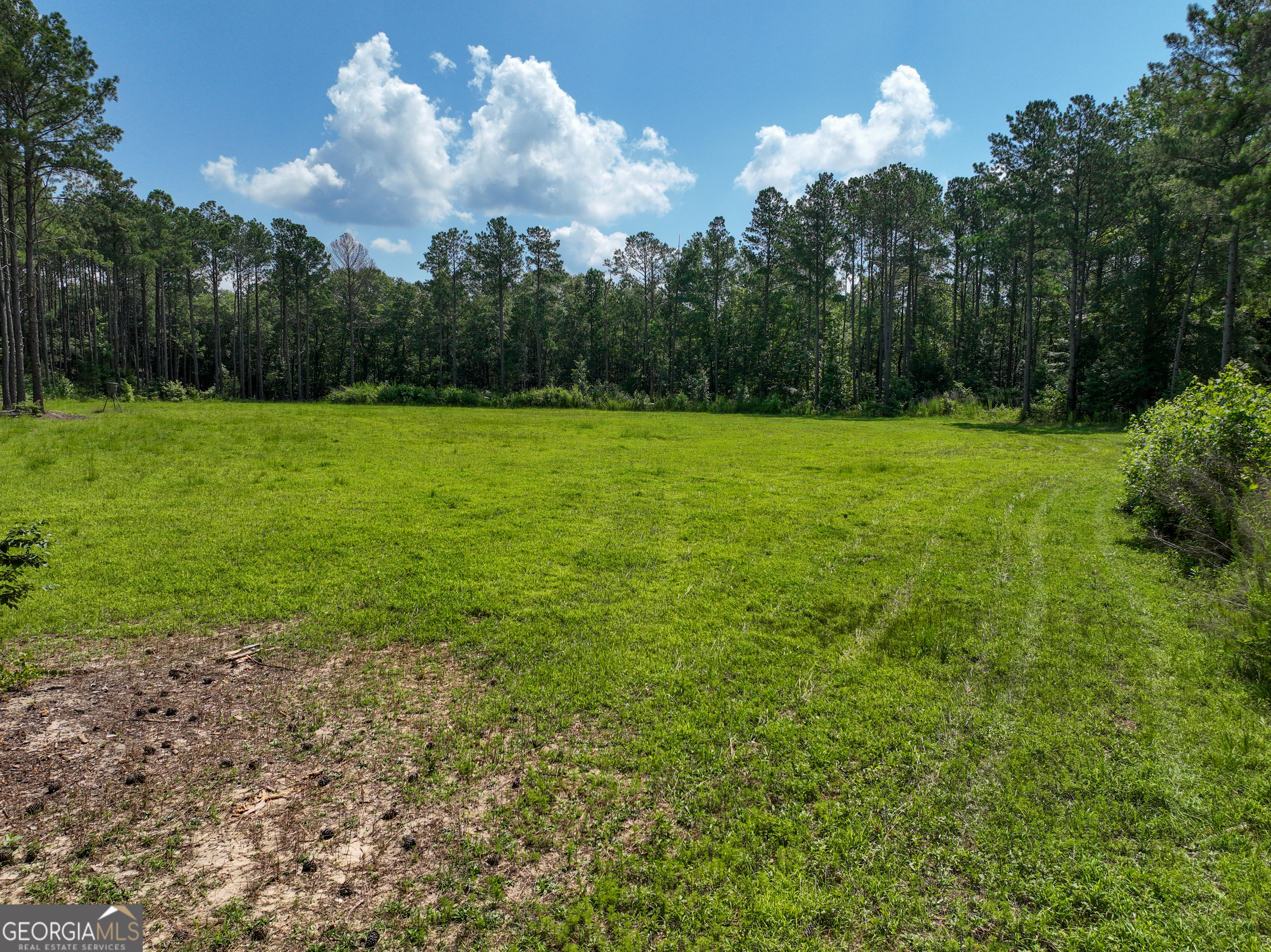 0 Silver Dollar Road Milner, GA 30204 - Photo 13 of 34
