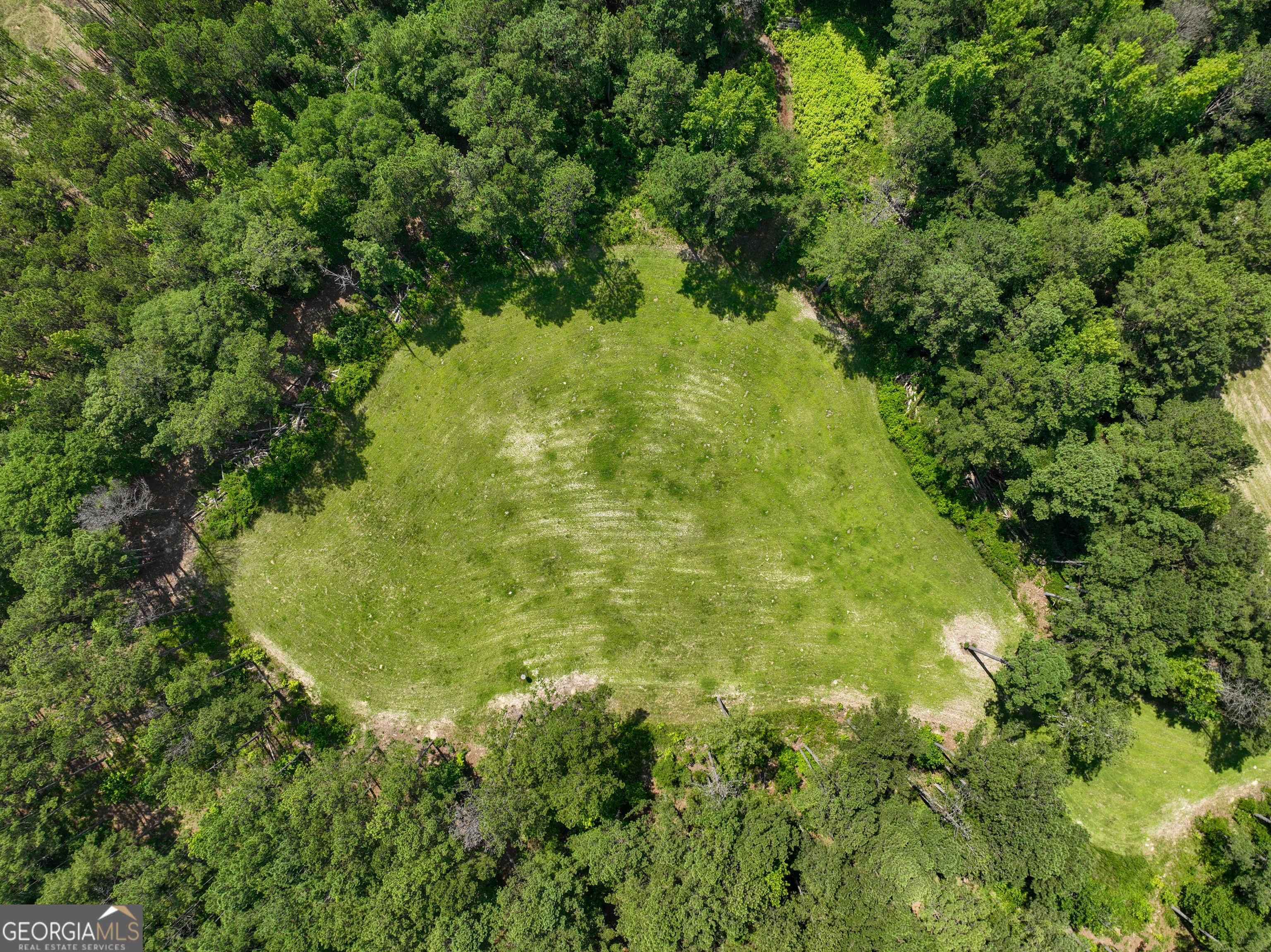 0 Silver Dollar Road Milner, GA 30204 - Photo 14 of 34