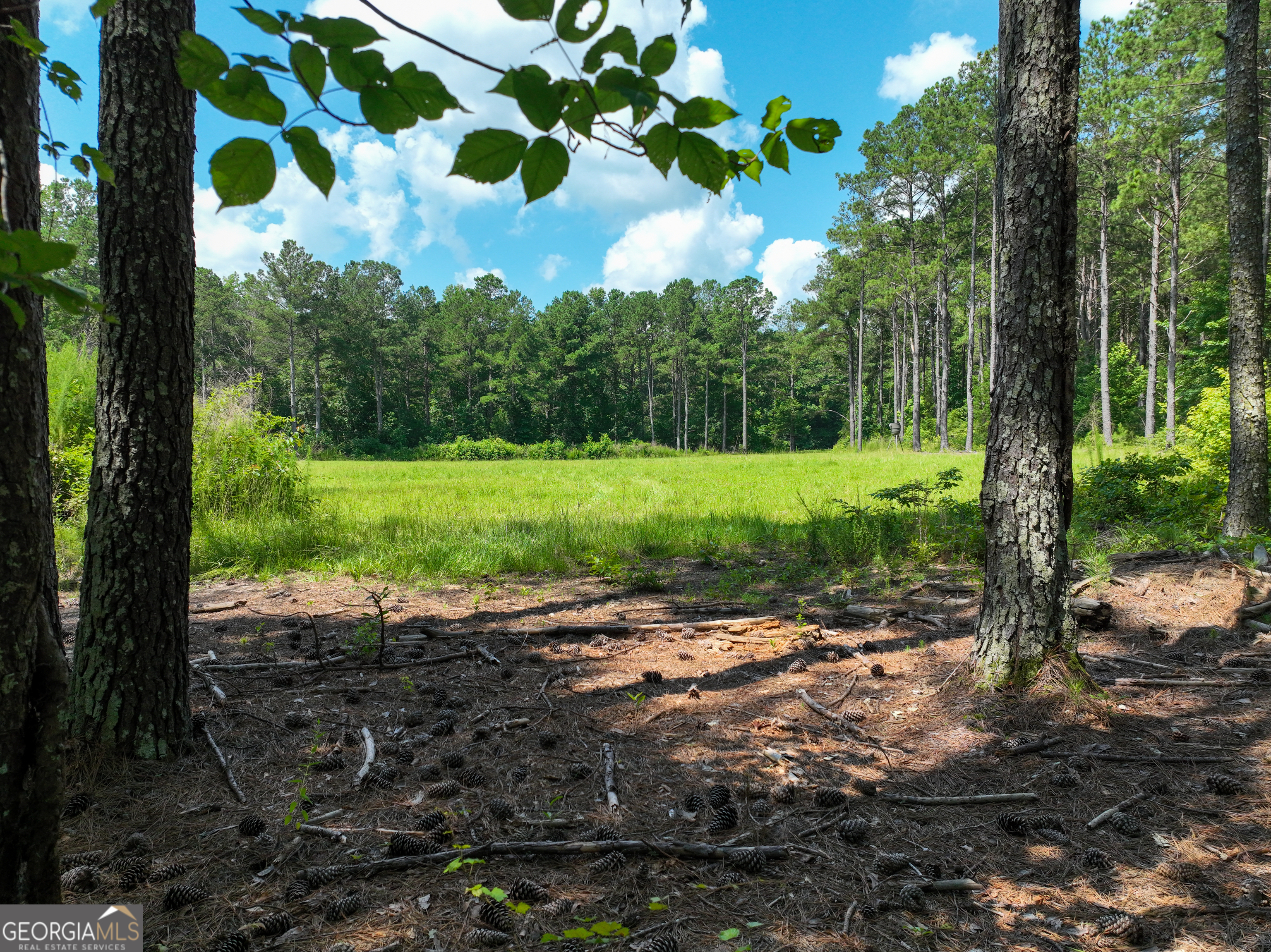 0 Silver Dollar Road Milner, GA 30204 - Photo 15 of 34