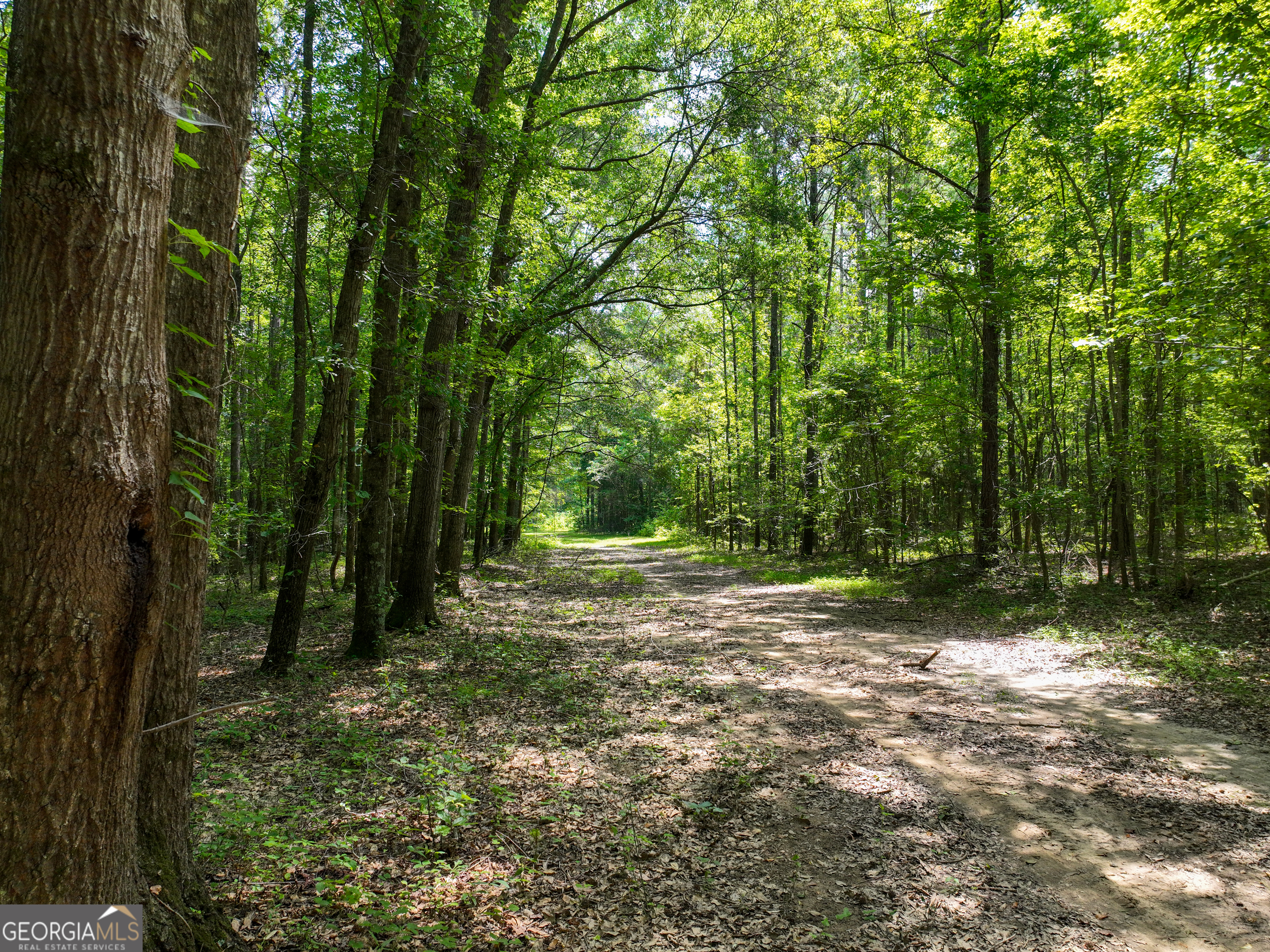 0 Silver Dollar Road Milner, GA 30204 - Photo 16 of 34