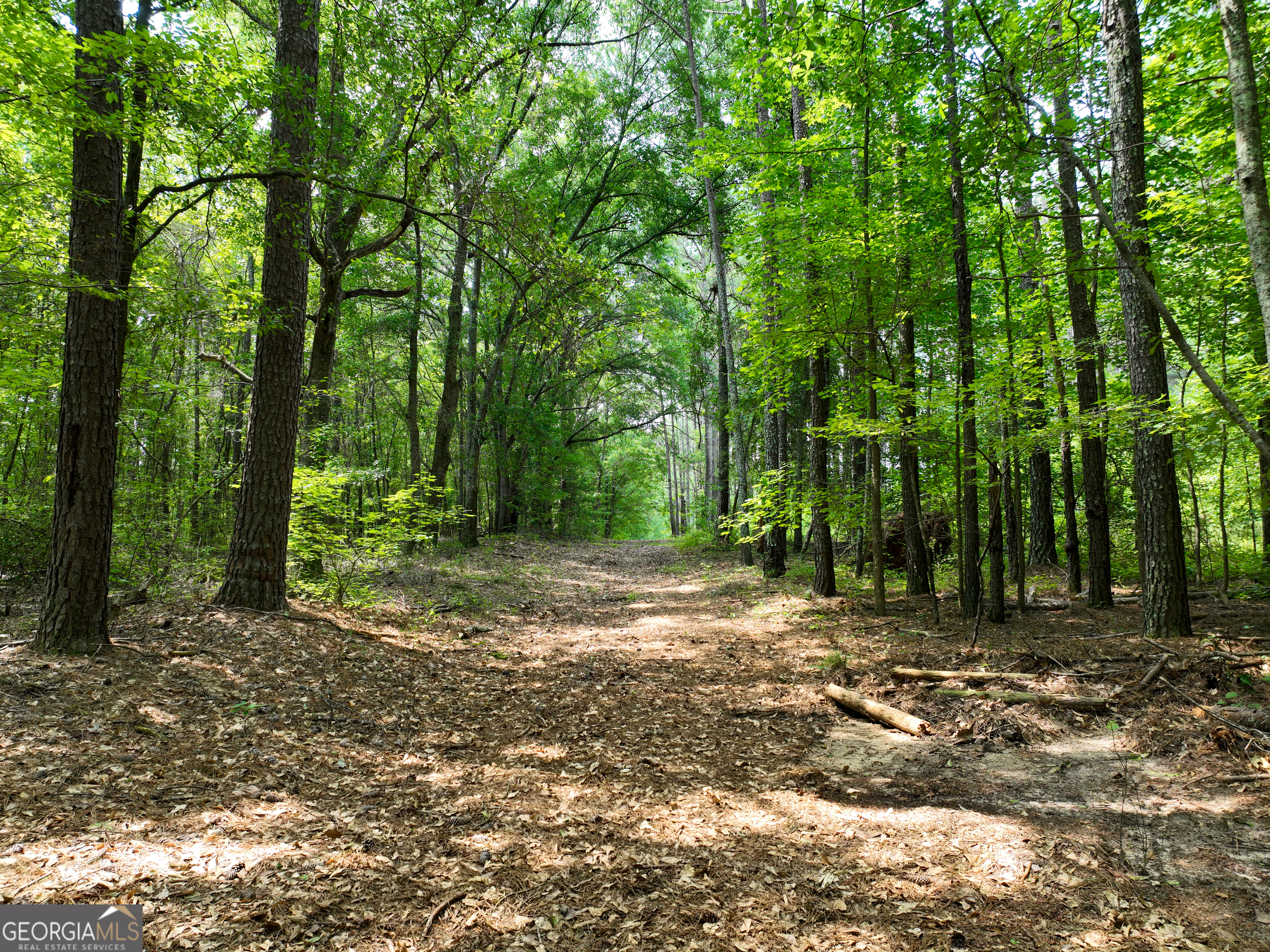 0 Silver Dollar Road Milner, GA 30204 - Photo 17 of 34