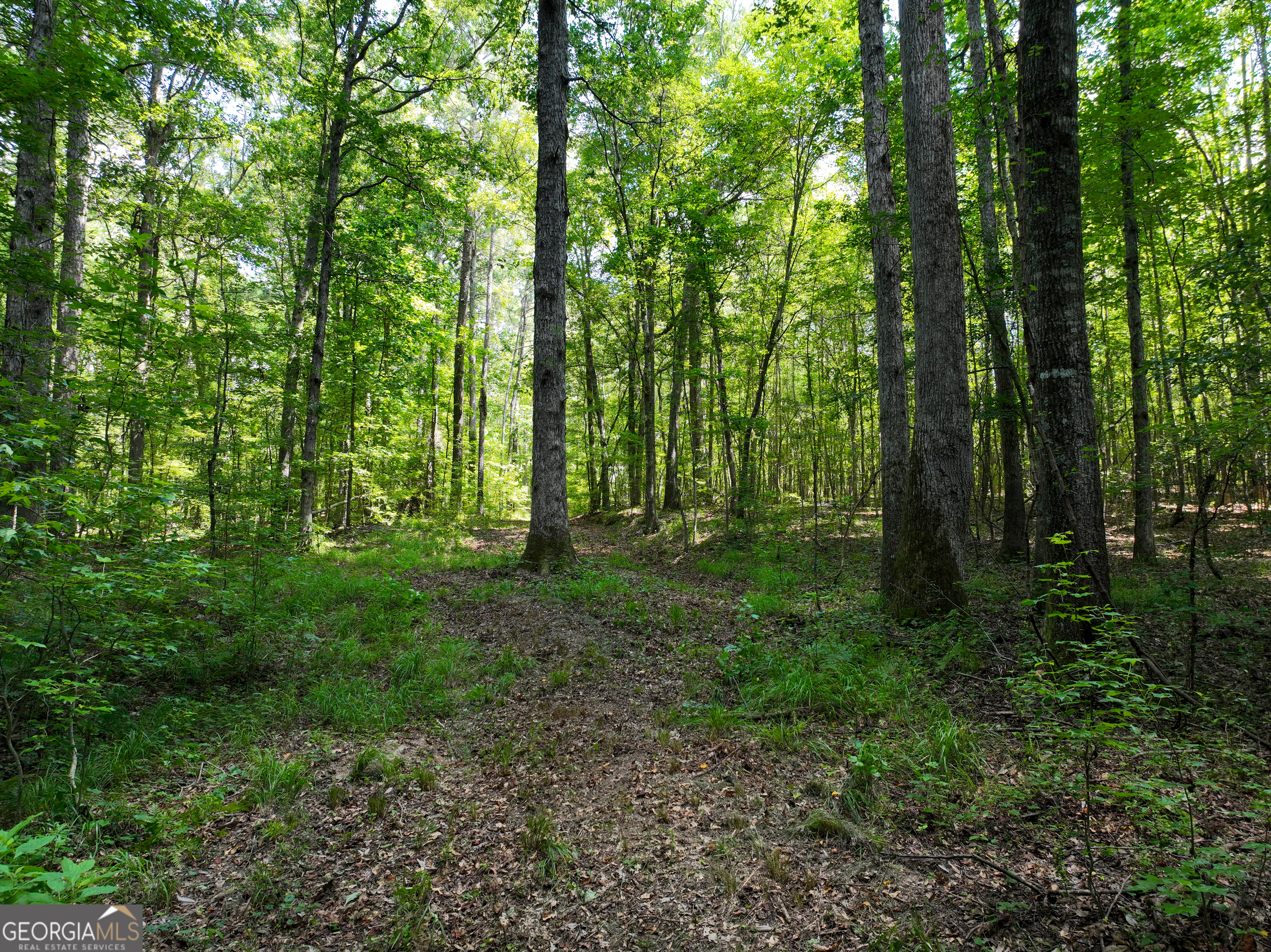 0 Silver Dollar Road Milner, GA 30204 - Photo 18 of 34