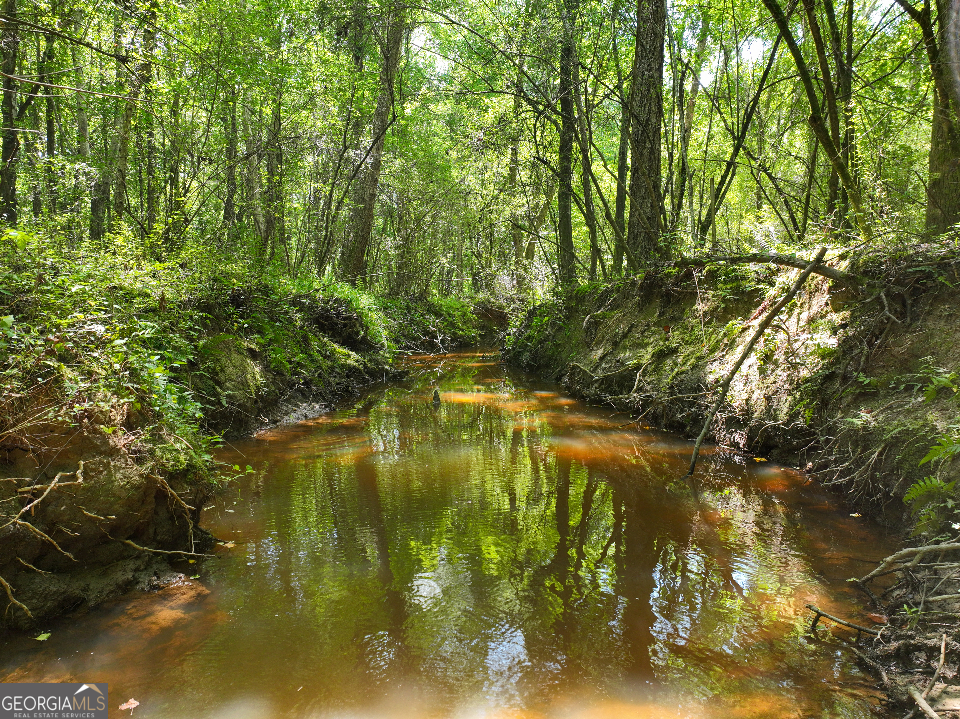 0 Silver Dollar Road Milner, GA 30204 - Photo 19 of 34
