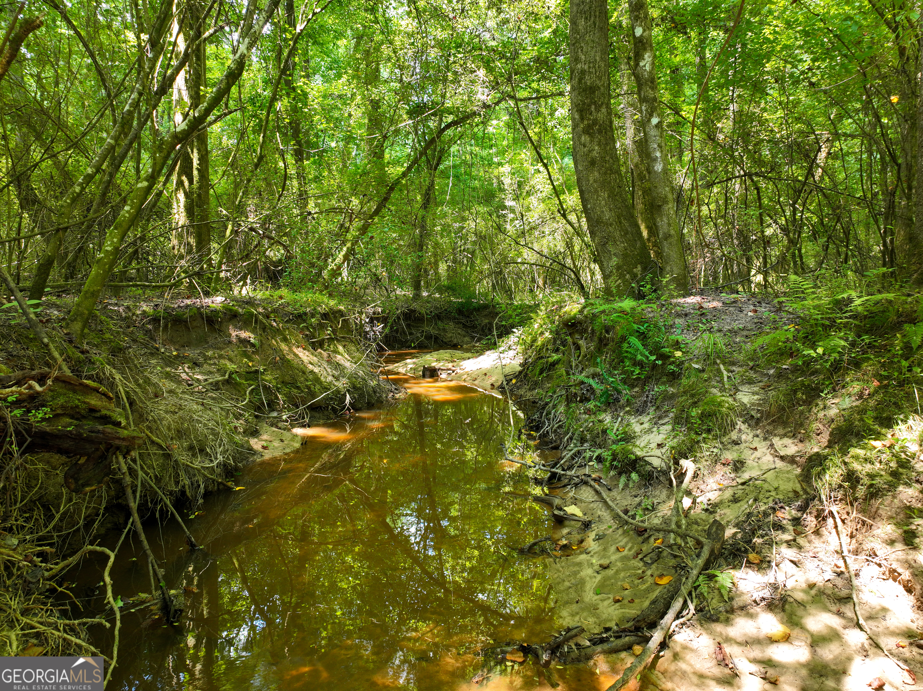 0 Silver Dollar Road Milner, GA 30204 - Photo 20 of 34