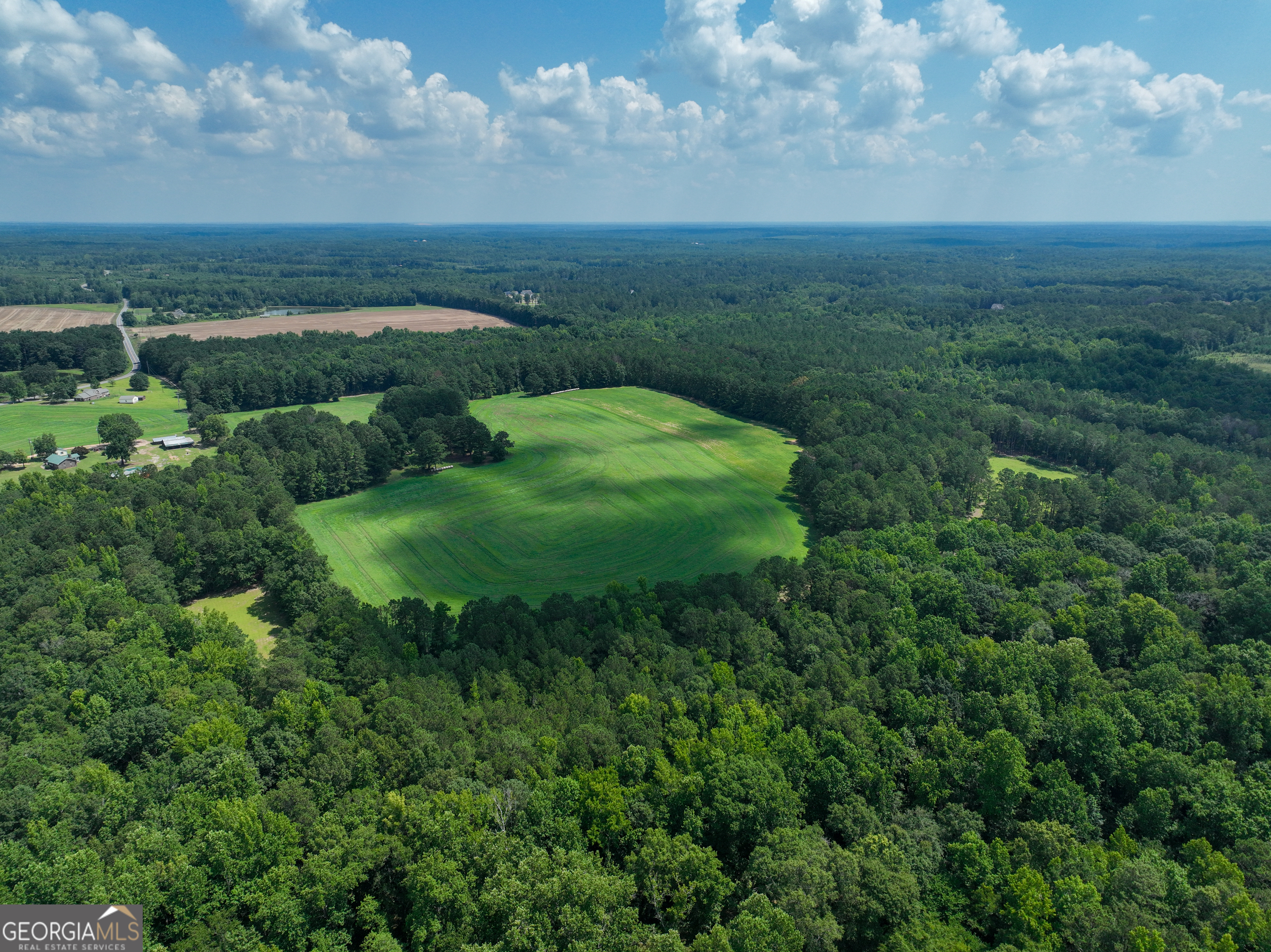 0 Silver Dollar Road Milner, GA 30204 - Photo 22 of 34
