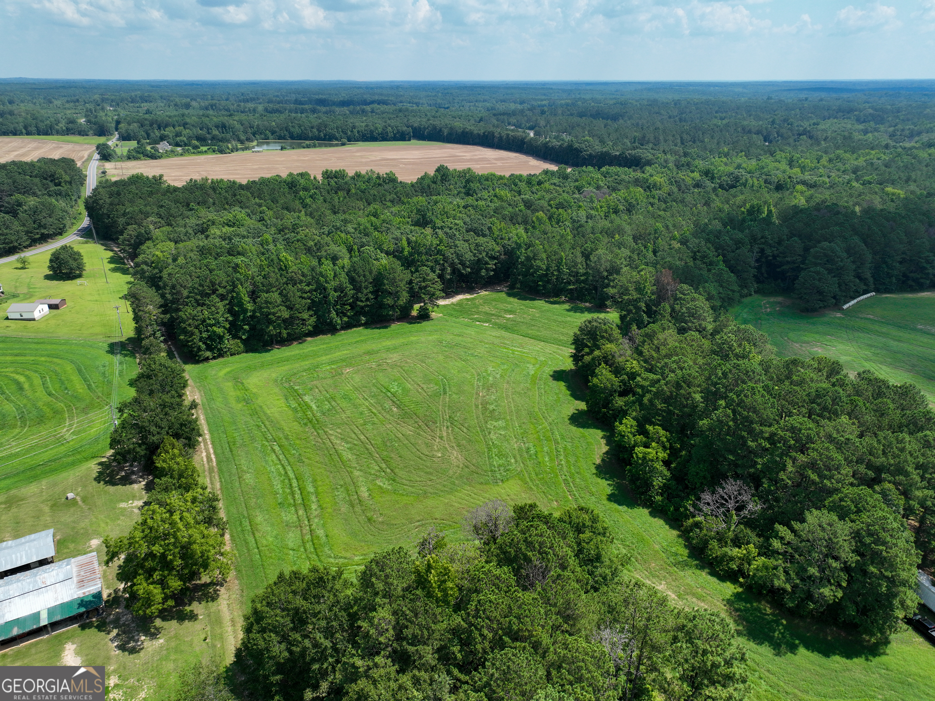 0 Silver Dollar Road Milner, GA 30204 - Photo 23 of 34