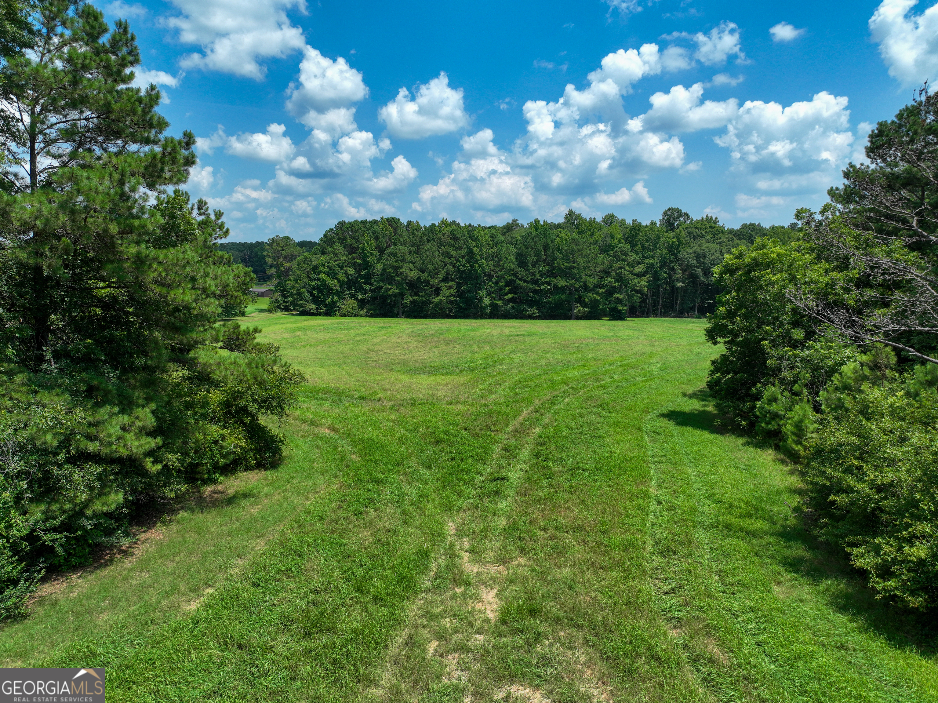 0 Silver Dollar Road Milner, GA 30204 - Photo 24 of 34