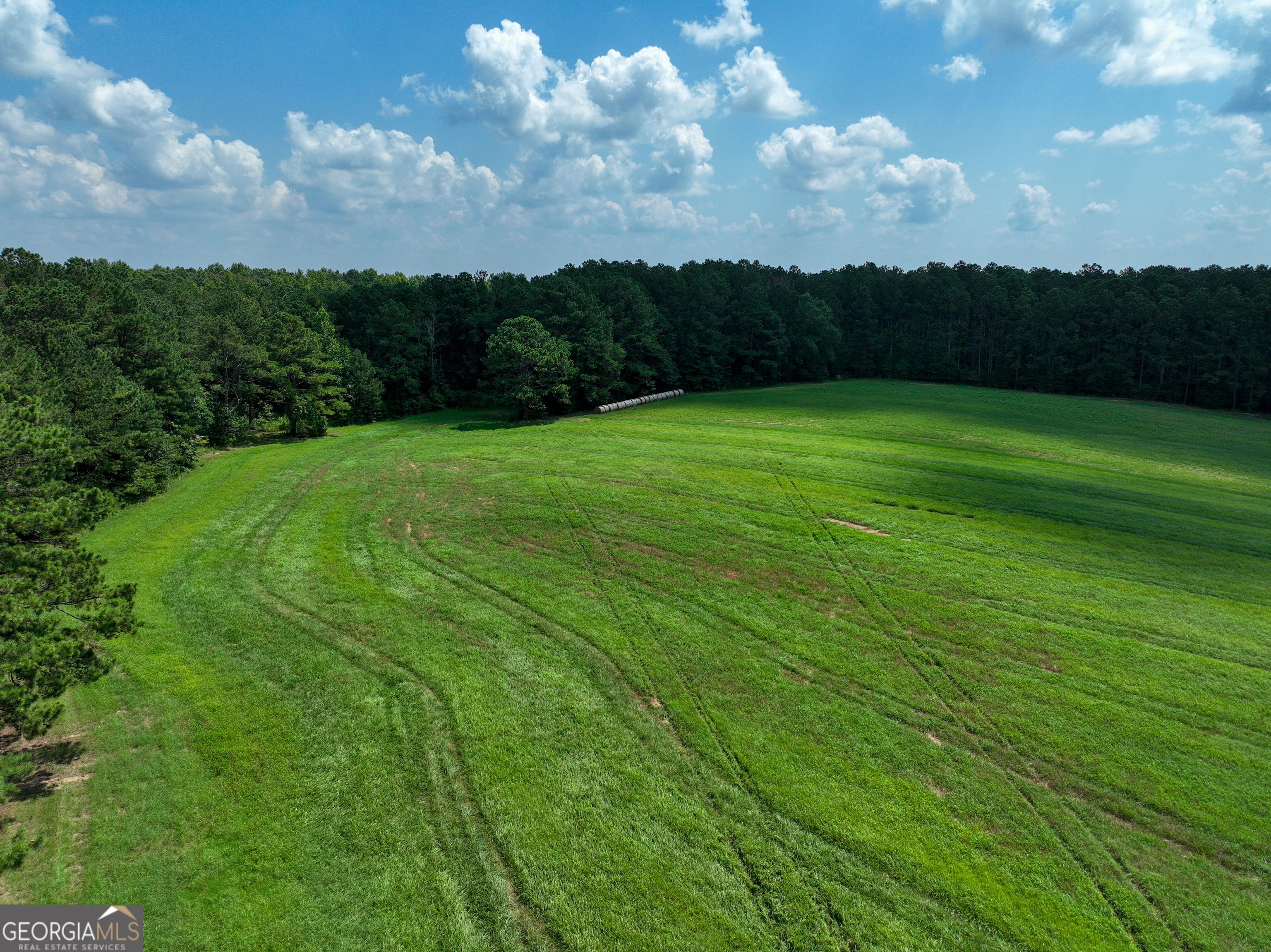 0 Silver Dollar Road Milner, GA 30204 - Photo 25 of 34
