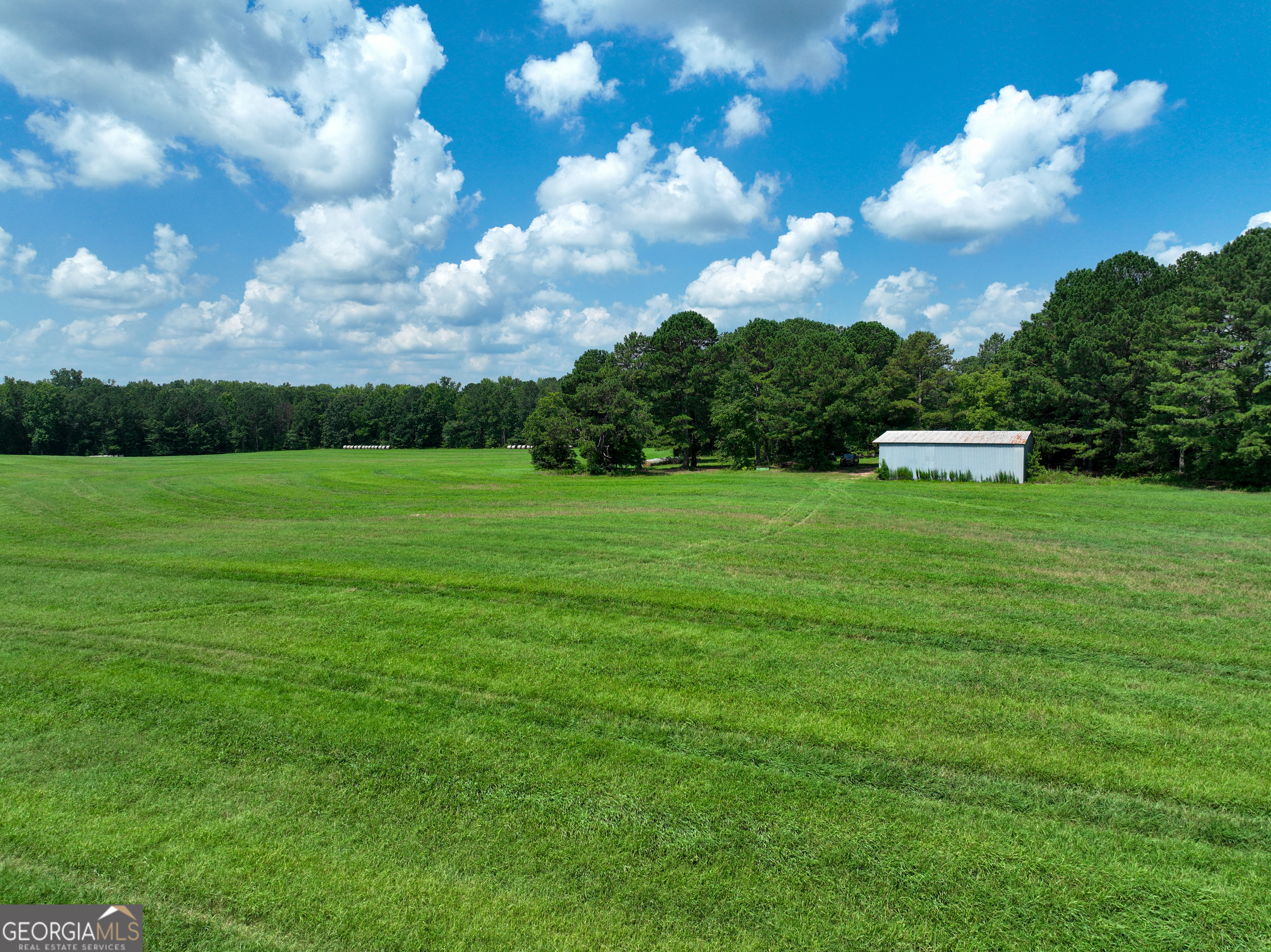 0 Silver Dollar Road Milner, GA 30204 - Photo 26 of 34