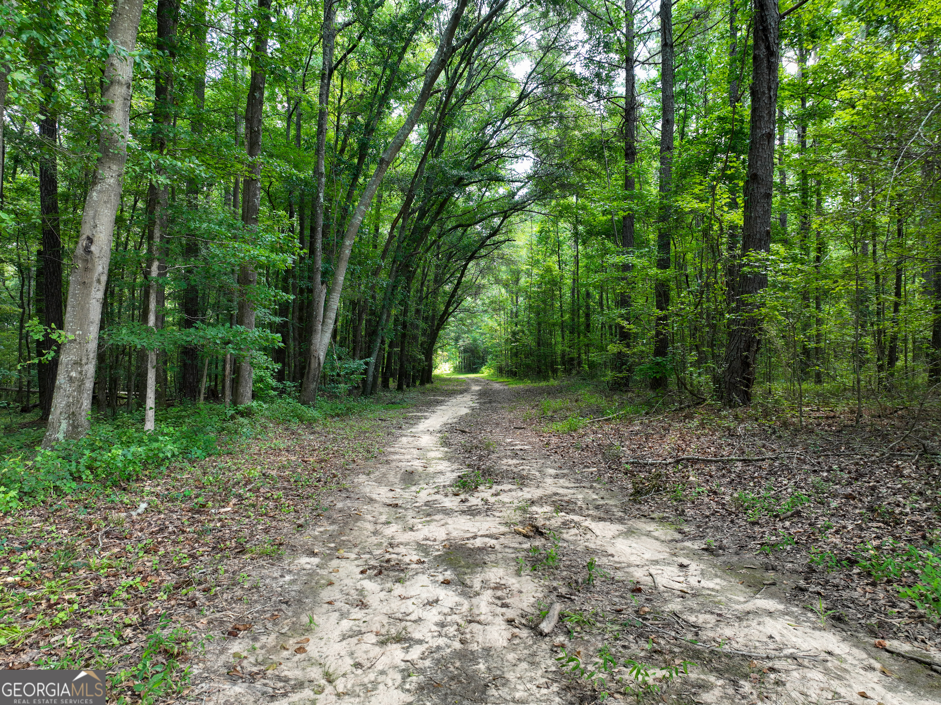 0 Silver Dollar Road Milner, GA 30204 - Photo 27 of 34