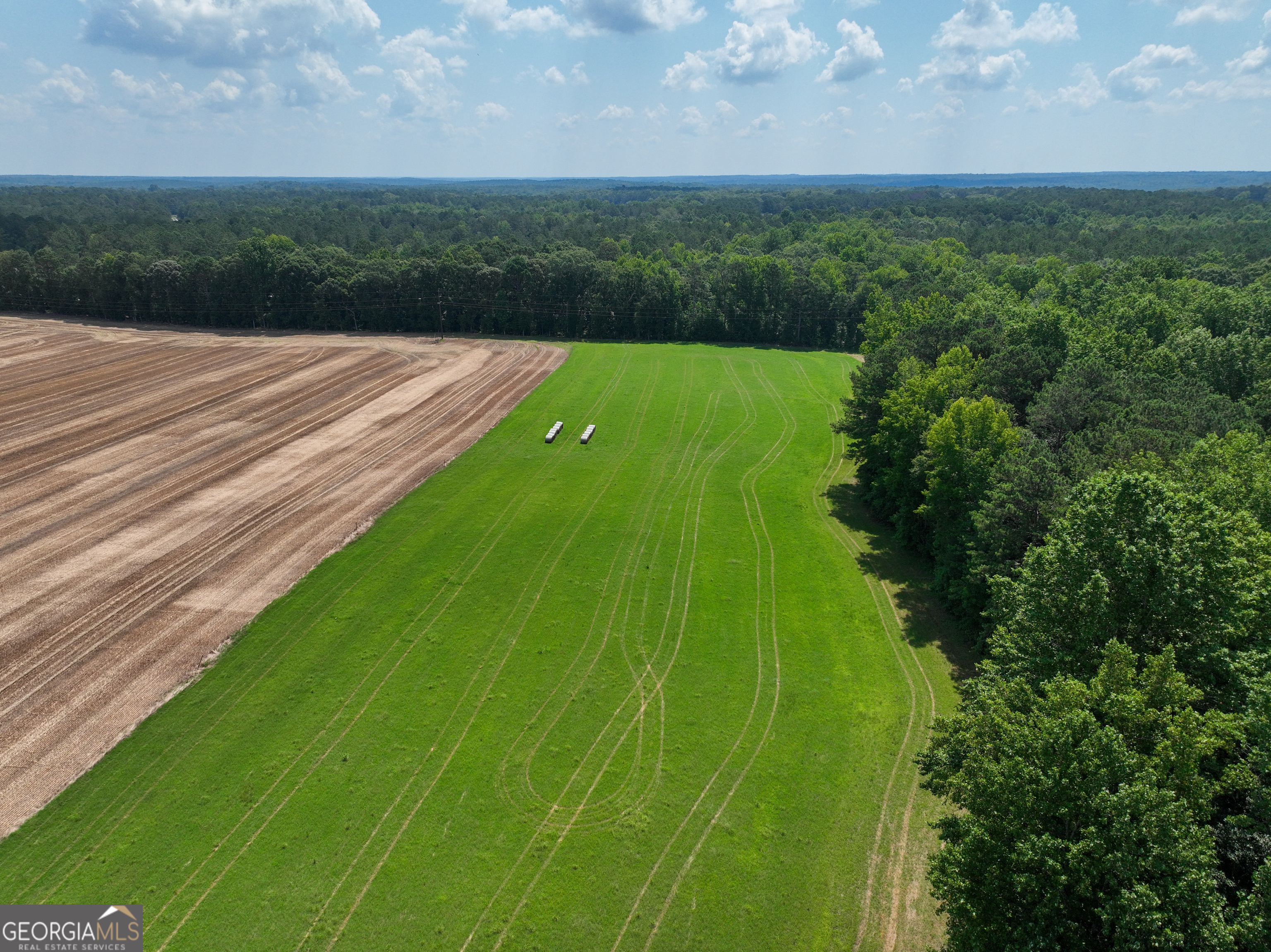 0 Silver Dollar Road Milner, GA 30204 - Photo 28 of 34