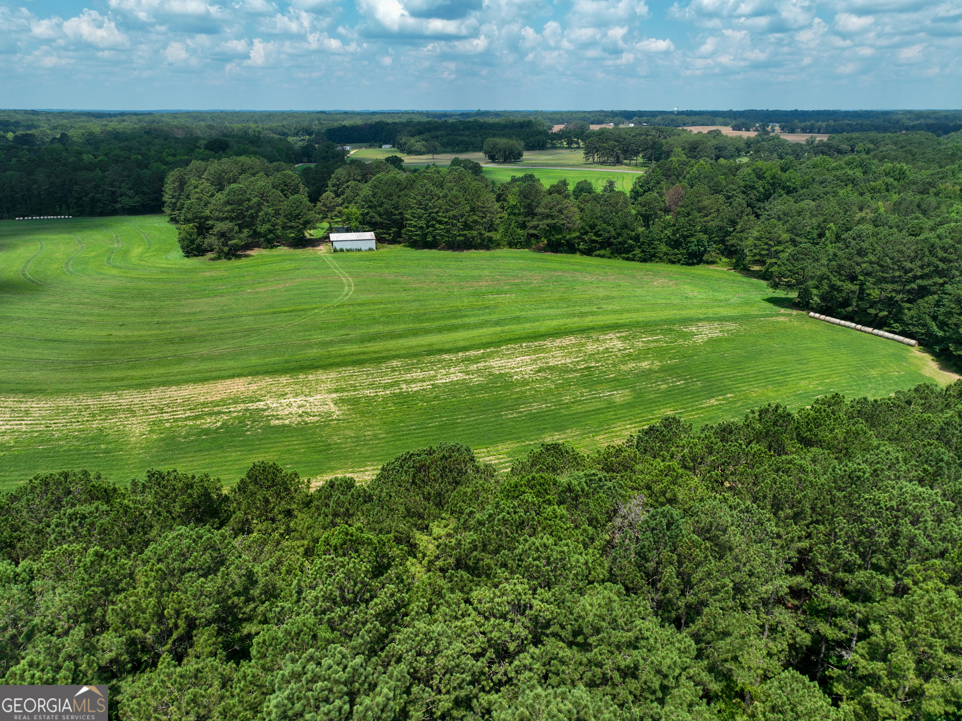0 Silver Dollar Road Milner, GA 30204 - Photo 29 of 34