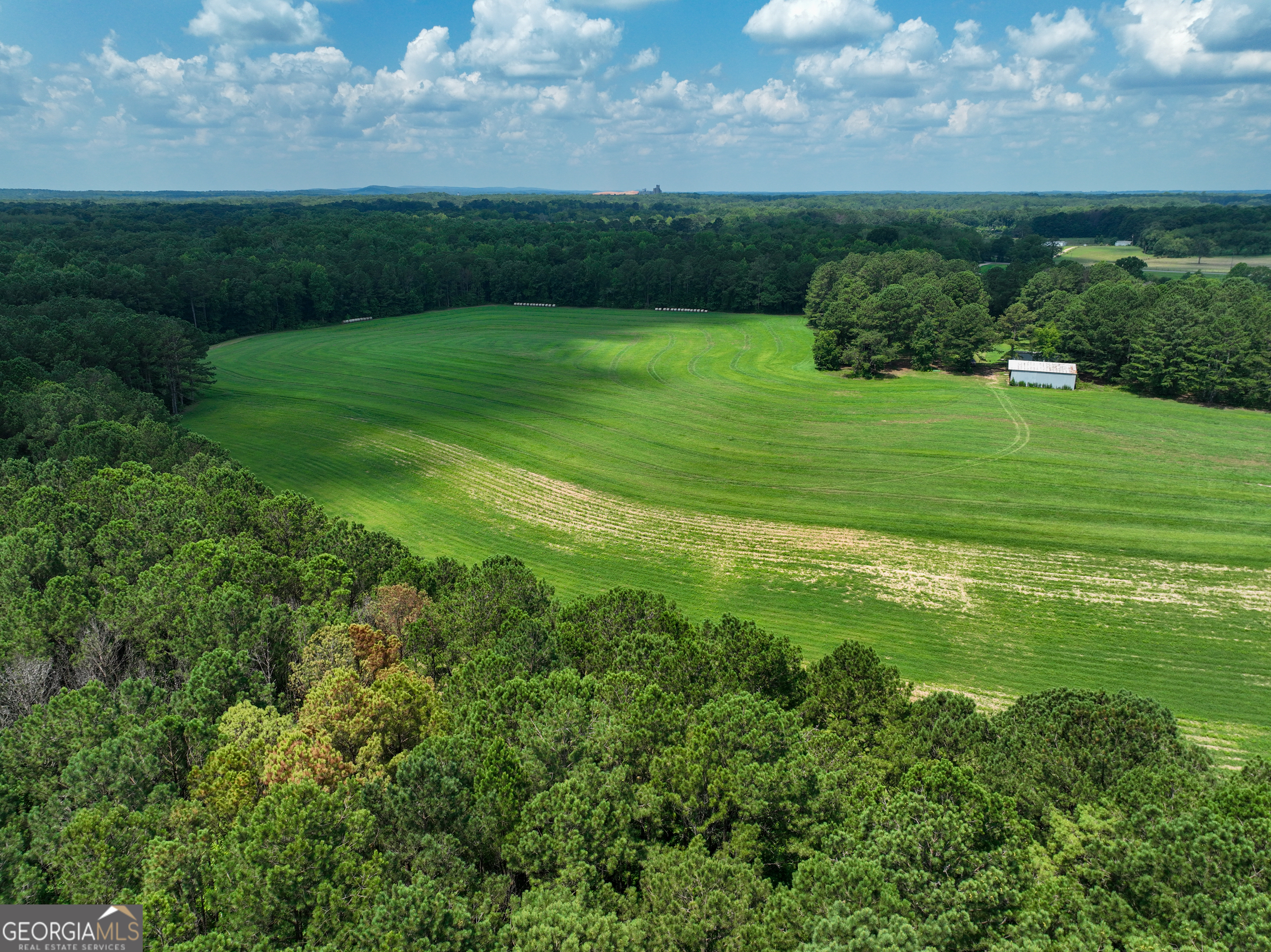 0 Silver Dollar Road Milner, GA 30204 - Photo 30 of 34