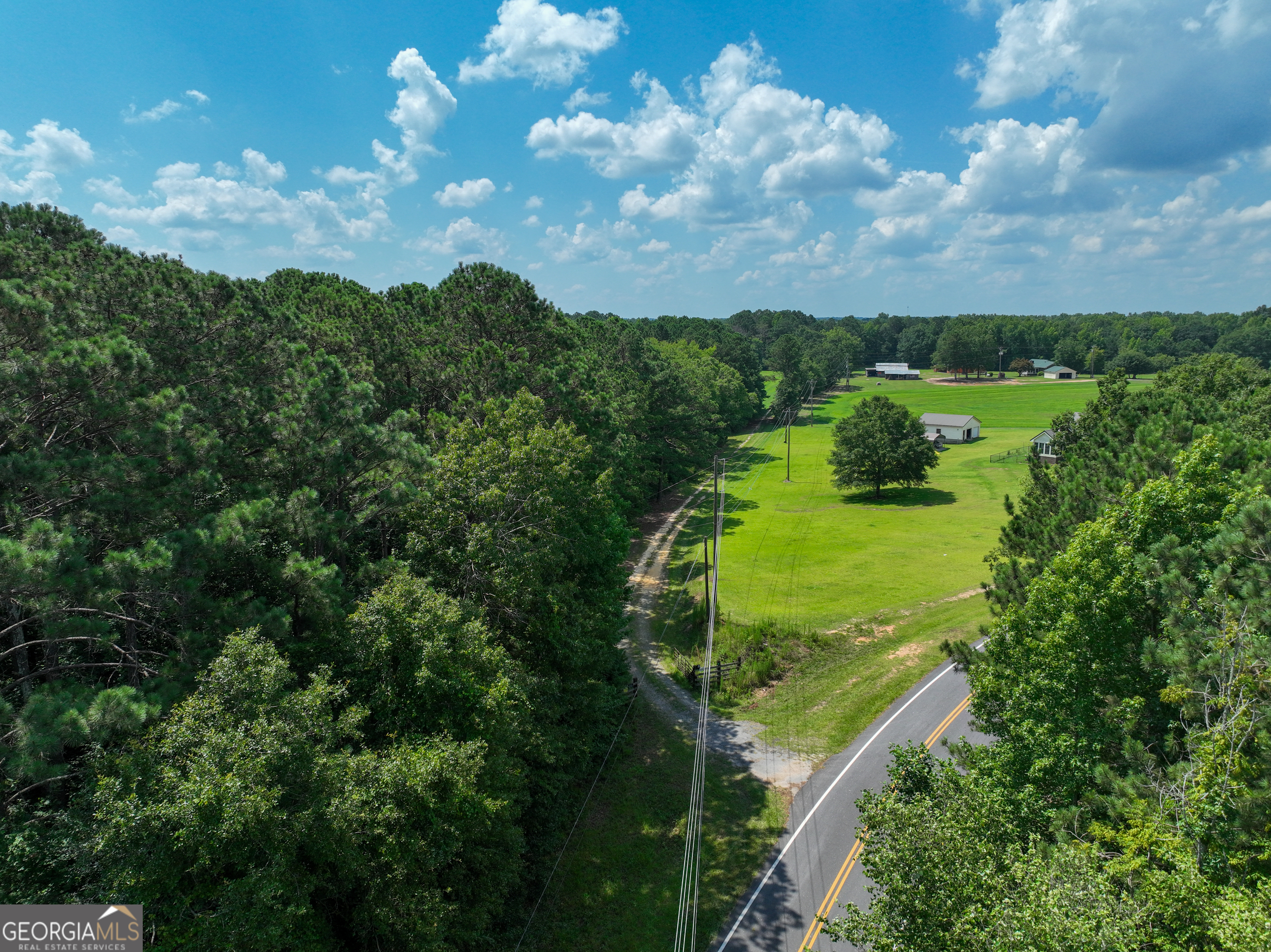 0 Silver Dollar Road Milner, GA 30204 - Photo 3 of 34