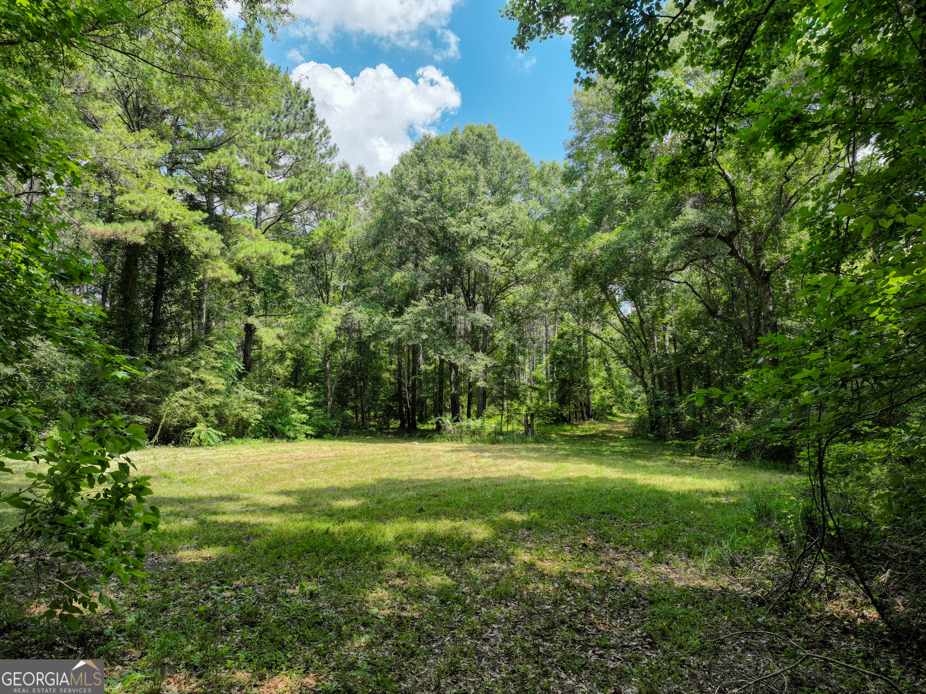 0 Silver Dollar Road Milner, GA 30204 - Photo 31 of 34