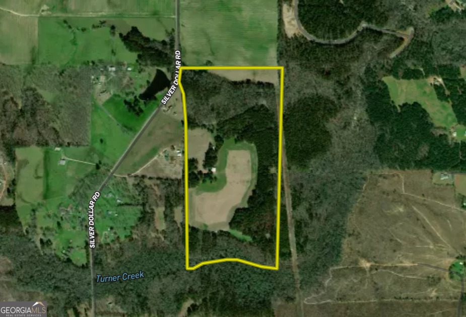 0 Silver Dollar Road Milner, GA 30204 - Photo 32 of 34