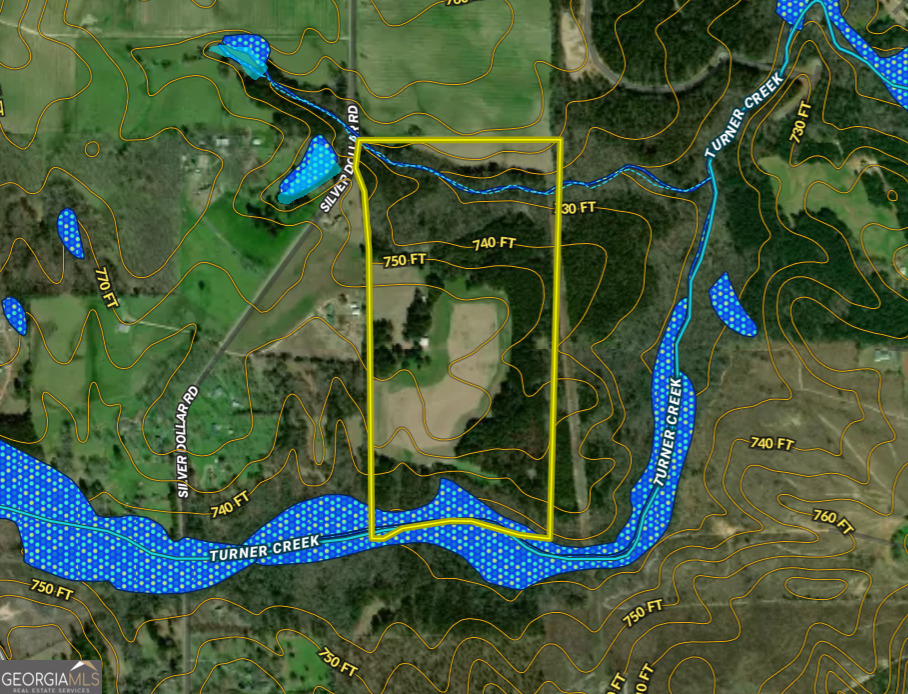 0 Silver Dollar Road Milner, GA 30204 - Photo 33 of 34