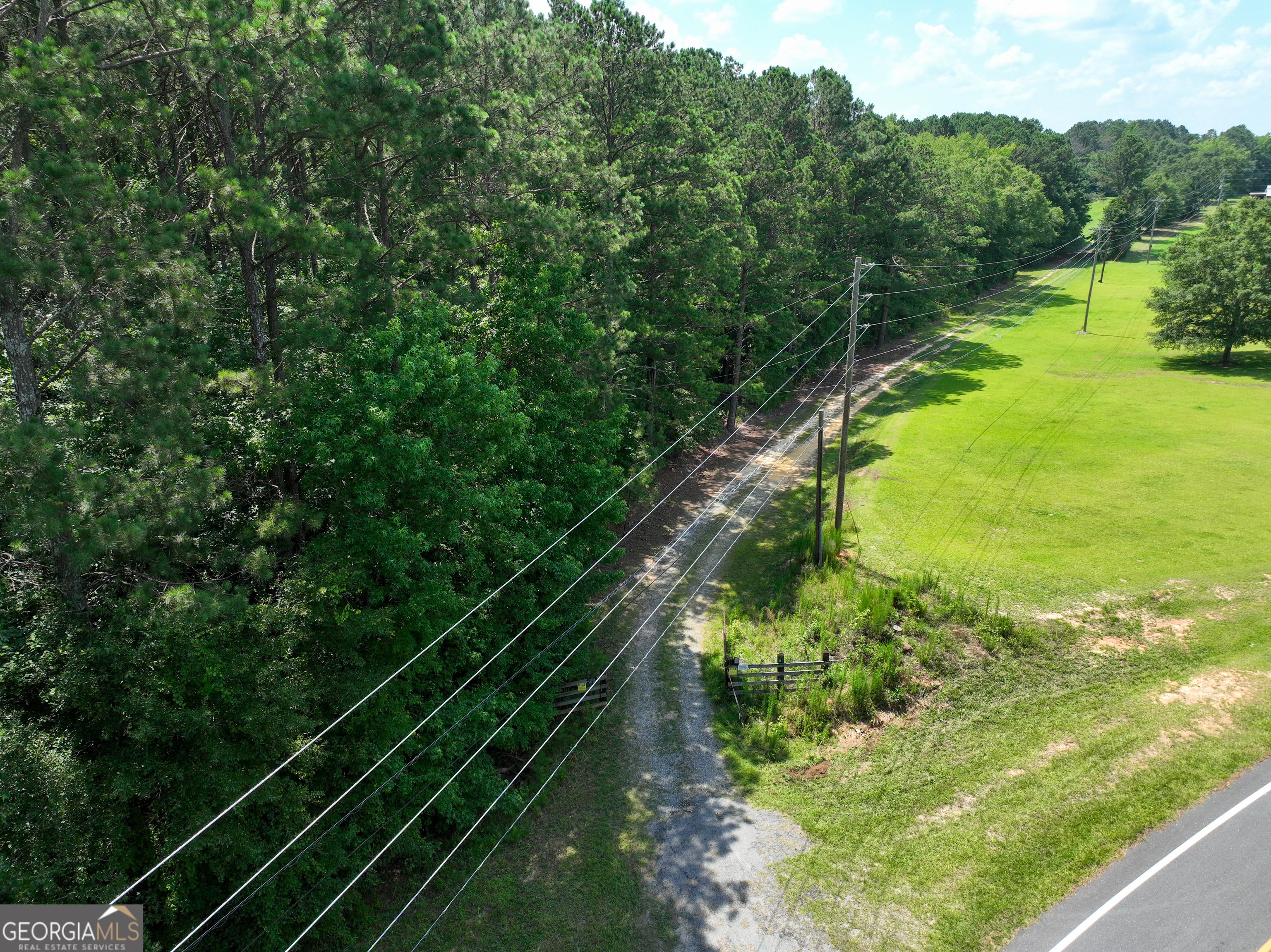 0 Silver Dollar Road Milner, GA 30204 - Photo 4 of 34