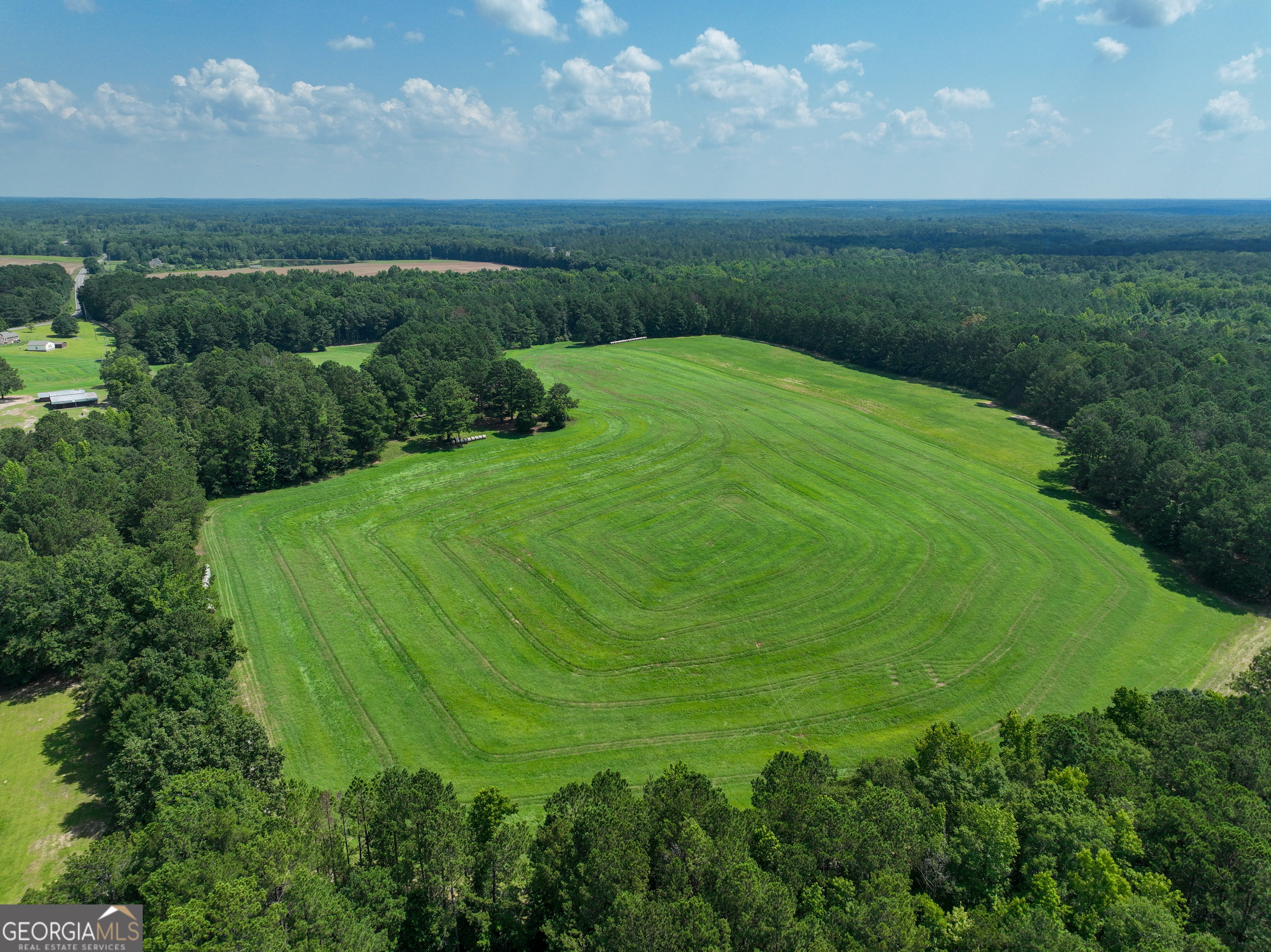 0 Silver Dollar Road Milner, GA 30204 - Photo 5 of 34