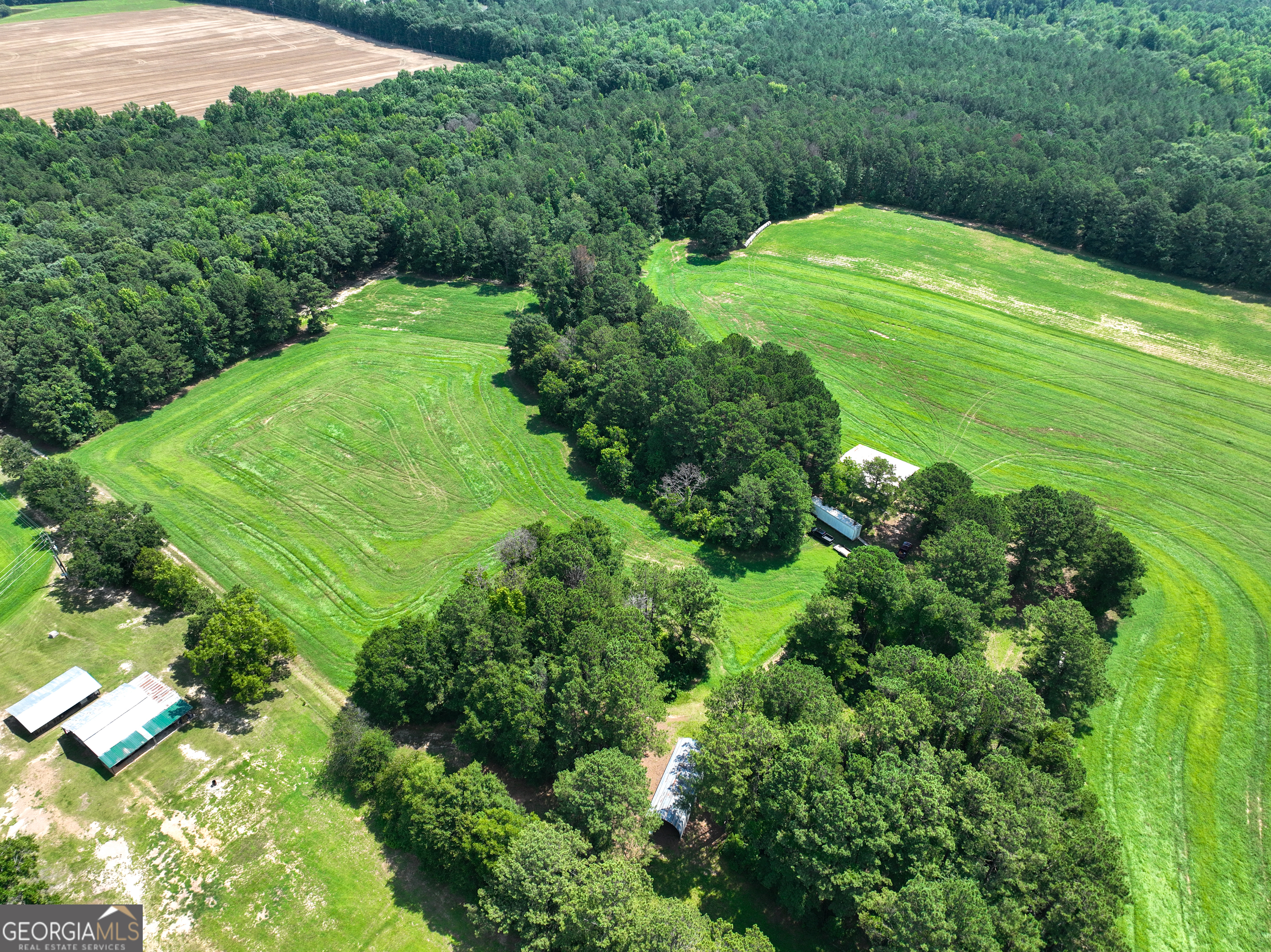 0 Silver Dollar Road Milner, GA 30204 - Photo 6 of 34