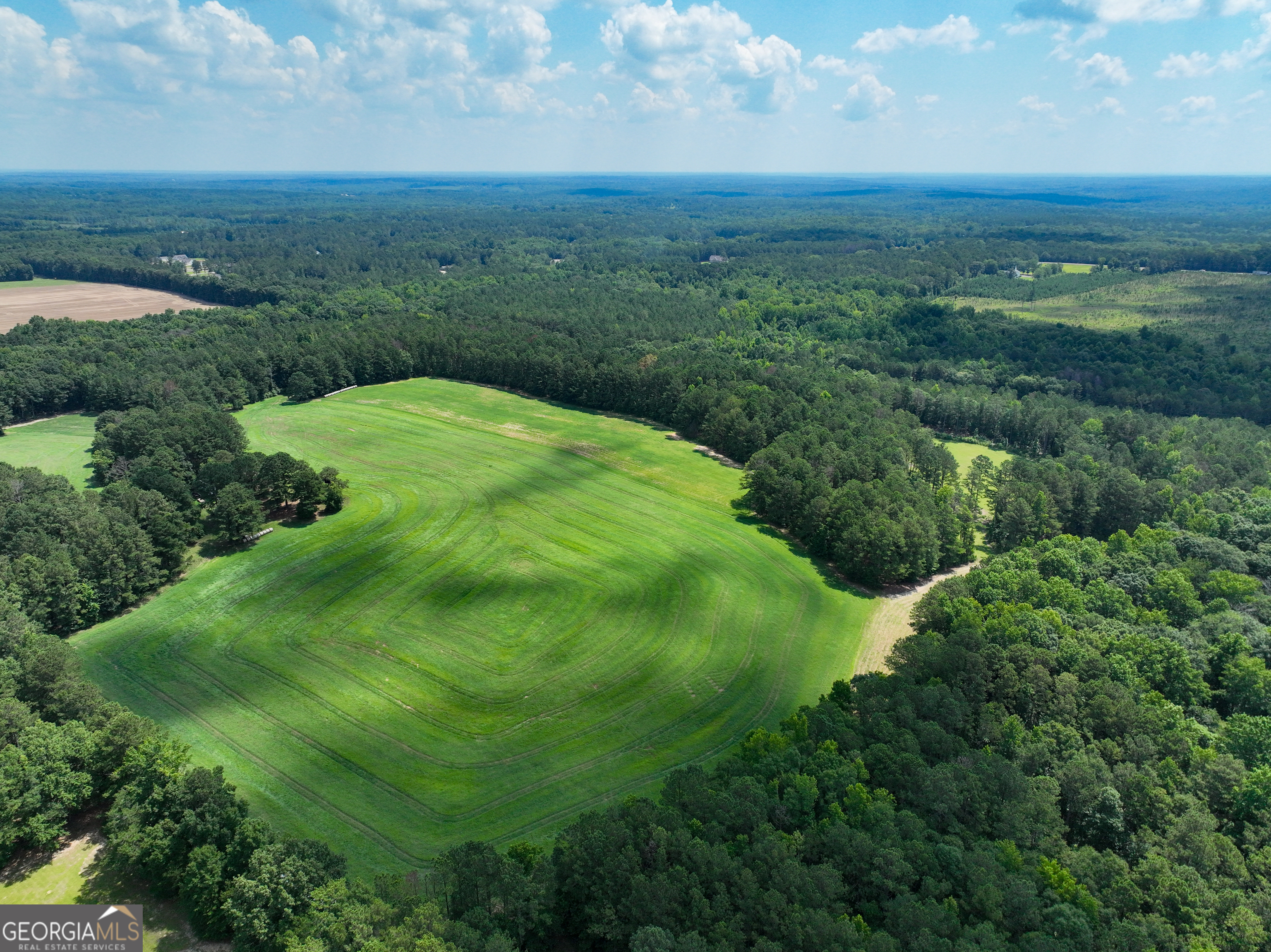 0 Silver Dollar Road Milner, GA 30204 - Photo 9 of 34