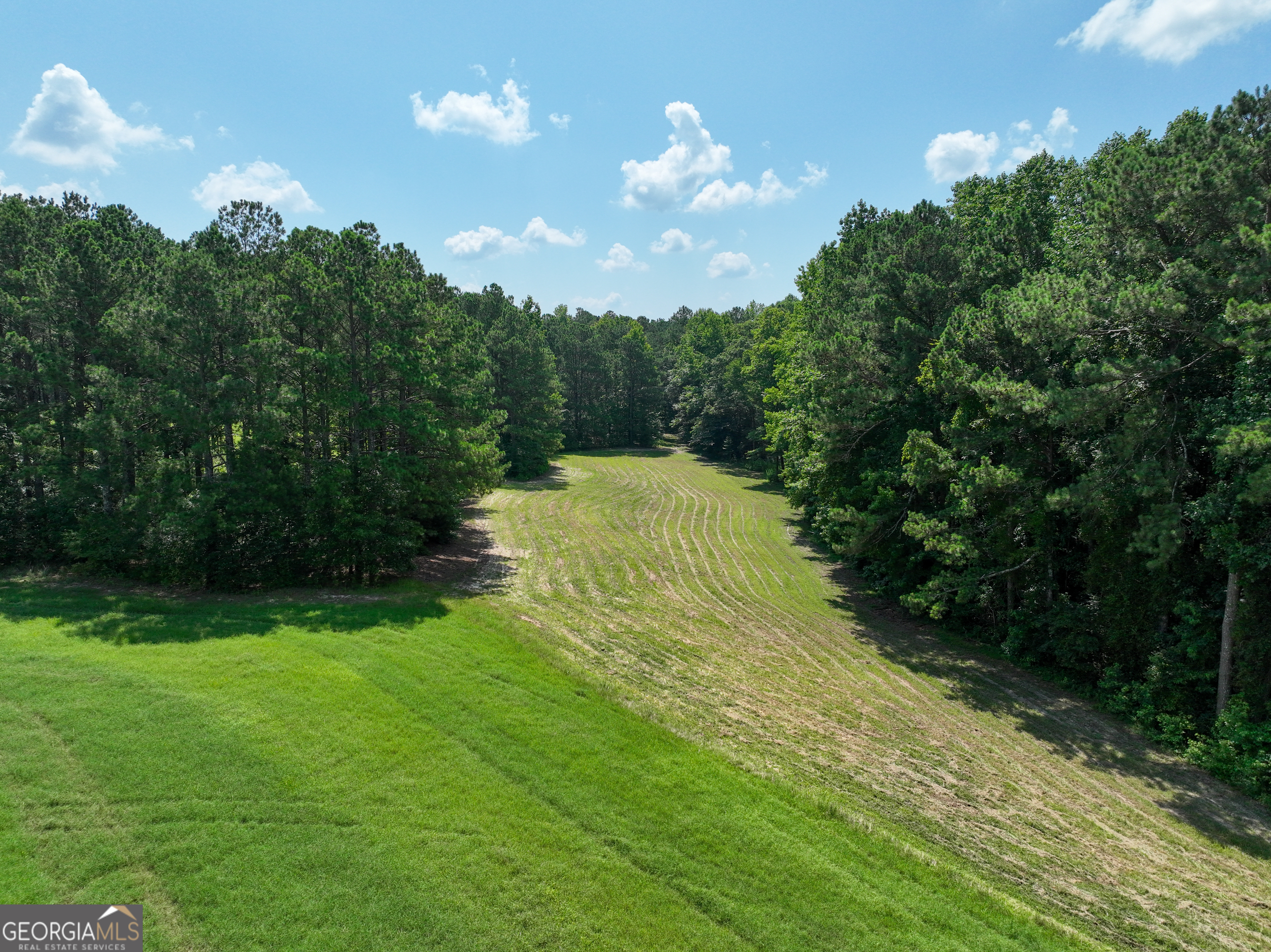0 Silver Dollar Road Milner, GA 30204 - Photo 10 of 34