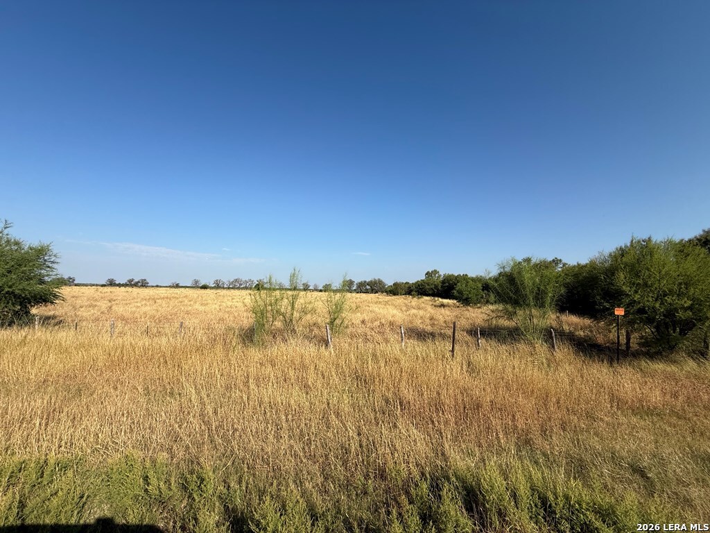 3232 Fm 1590 Quemado, TX 78877 - Photo 11 of 13