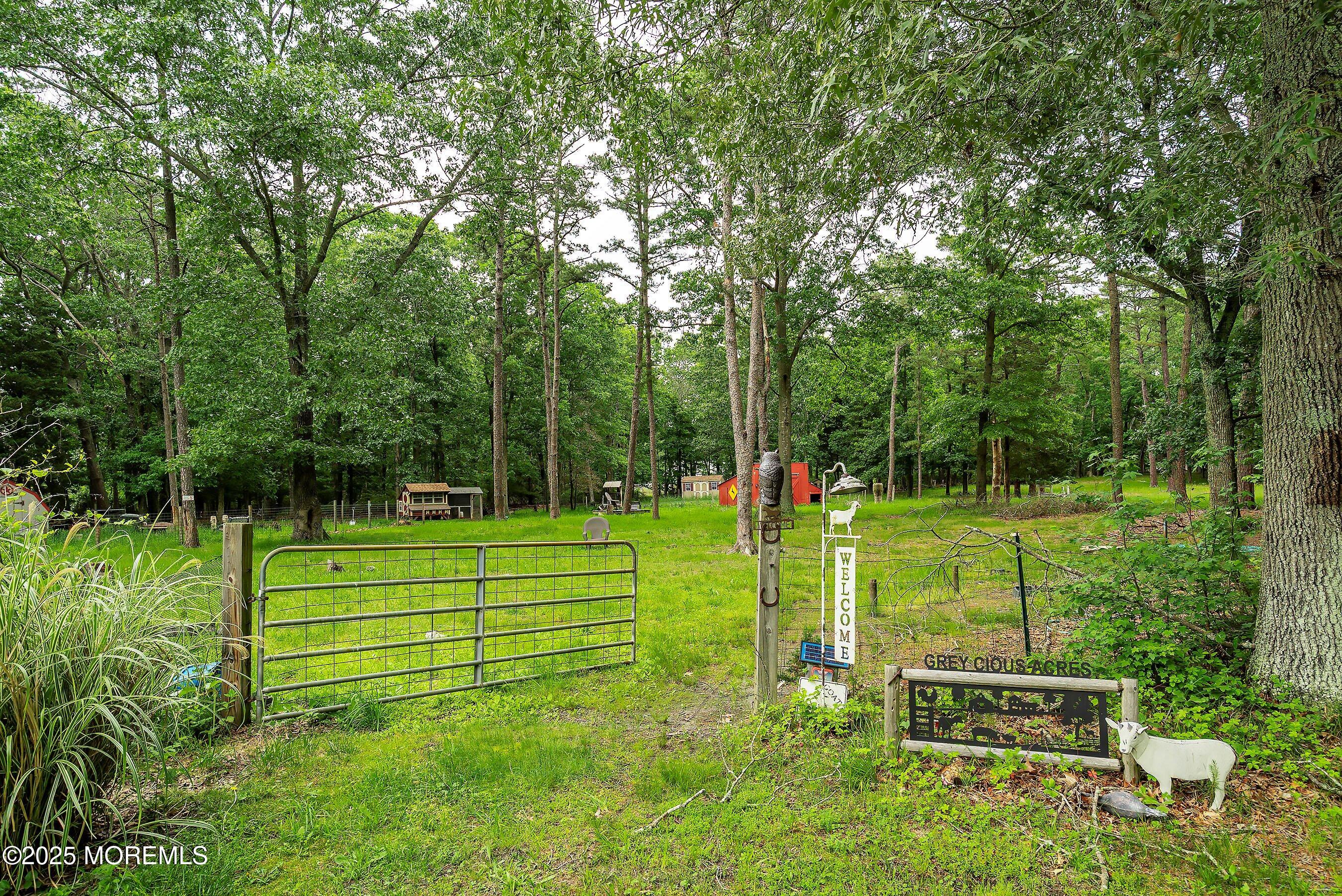 10 Hillside Avenue Tuckerton, NJ 08087 - Photo 37 of 46 a view of a park with a large tree