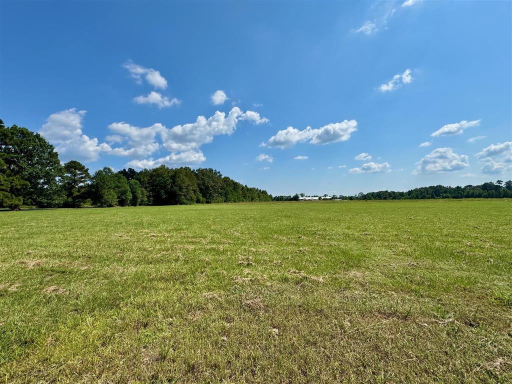 Tbd 9th Avenue Oberlin, LA 70655 - Photo 1 of 2