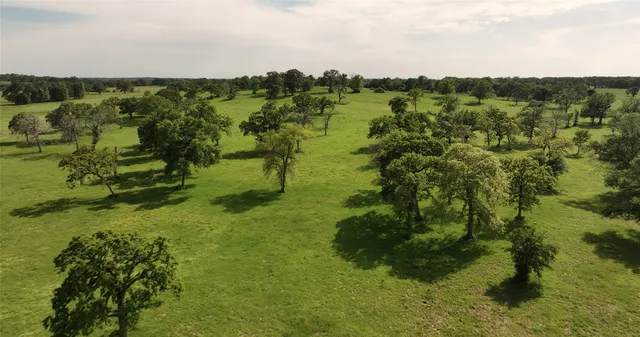 an aerial view of residential building and lake
