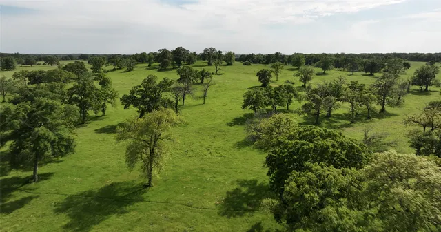 a view of a grassy field with trees