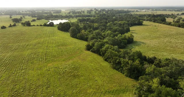 a view of a water pond with green landscape