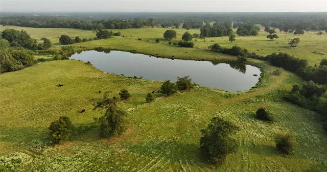 a view of a lake from a yard