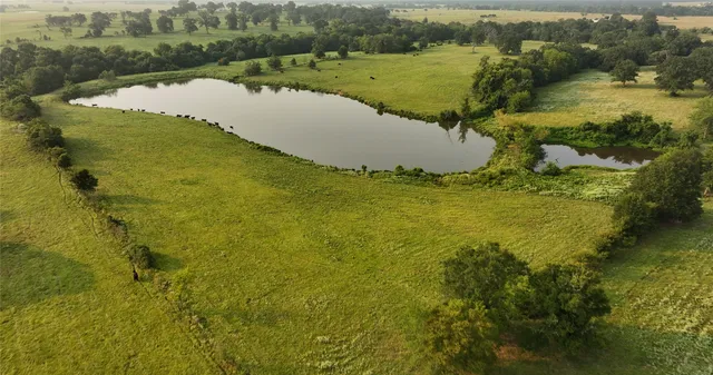 a view of a yard with an outdoor space