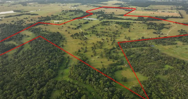 a view of a yard with an outdoor space
