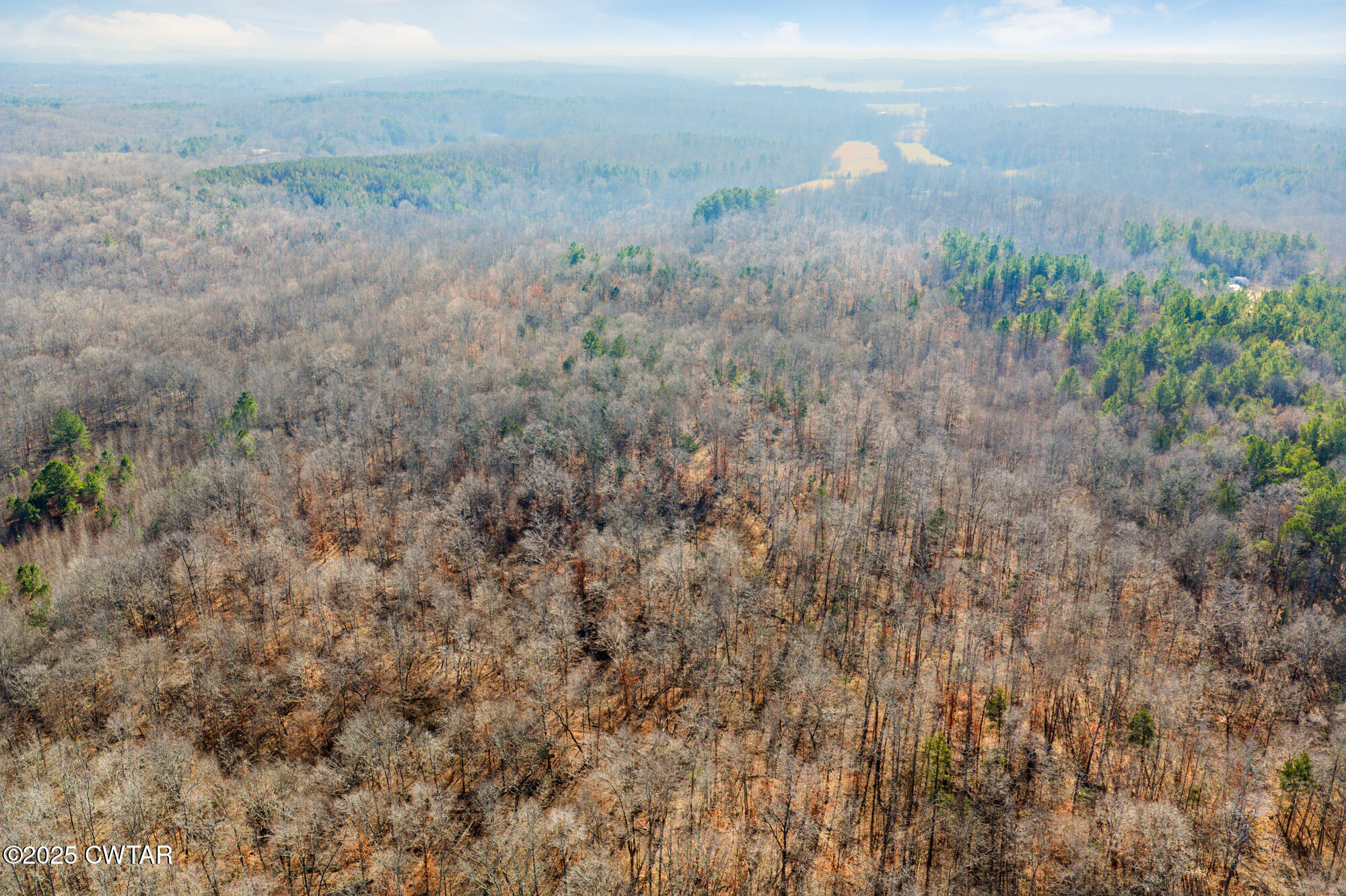 0 Holladay Road Parsons, TN 38363 - Photo 9 of 16 DJI_20251209123105_0155_D