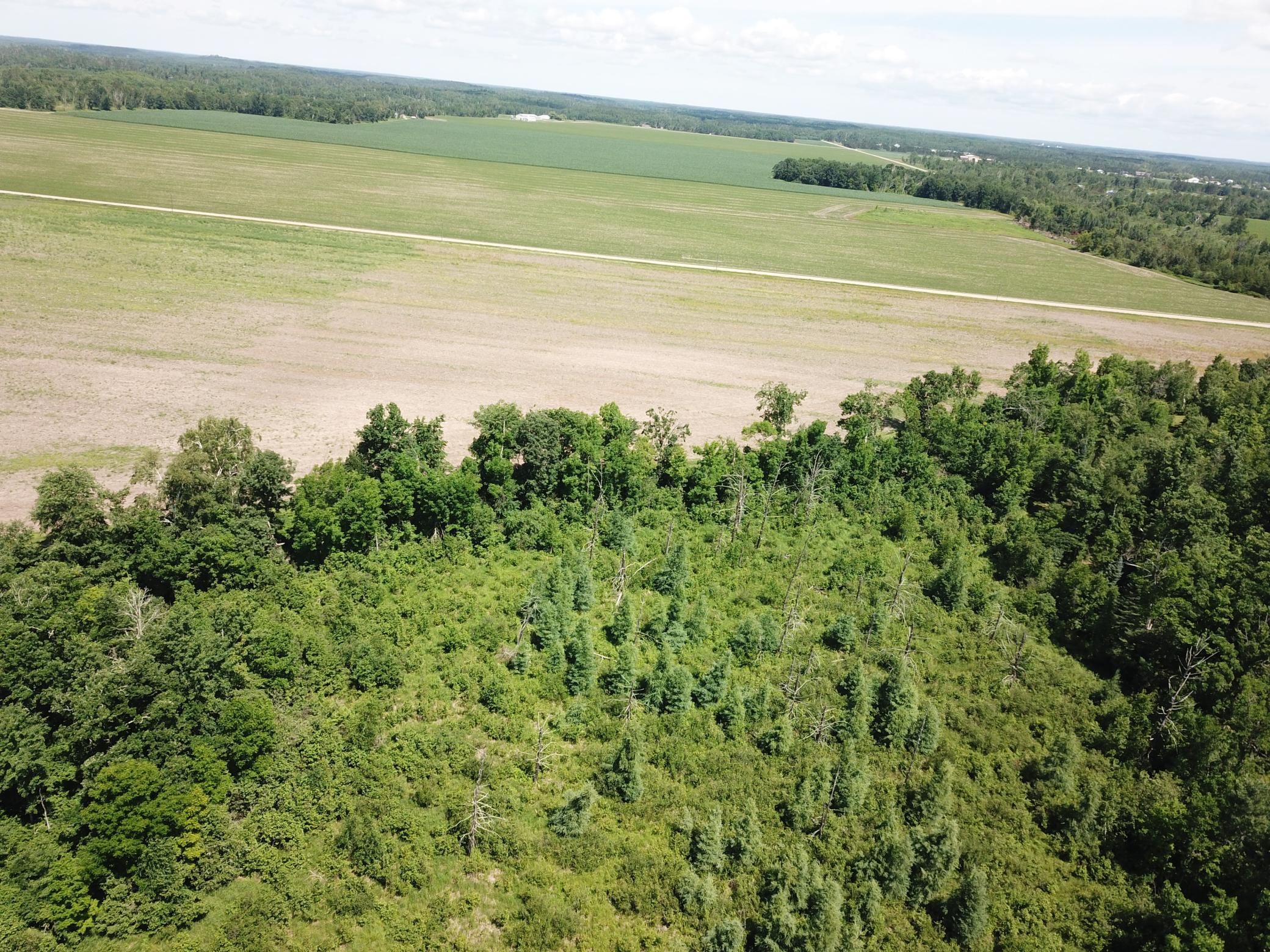 Tbd Boot Lake Road Southwest Bemidji, MN 56601 - Photo 17 of 55