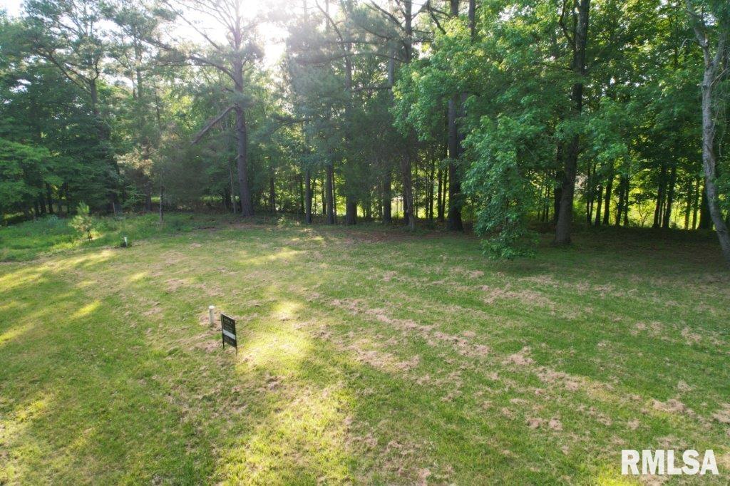 0 May Apple Lane Carbondale, IL 62903 - Photo 13 of 14