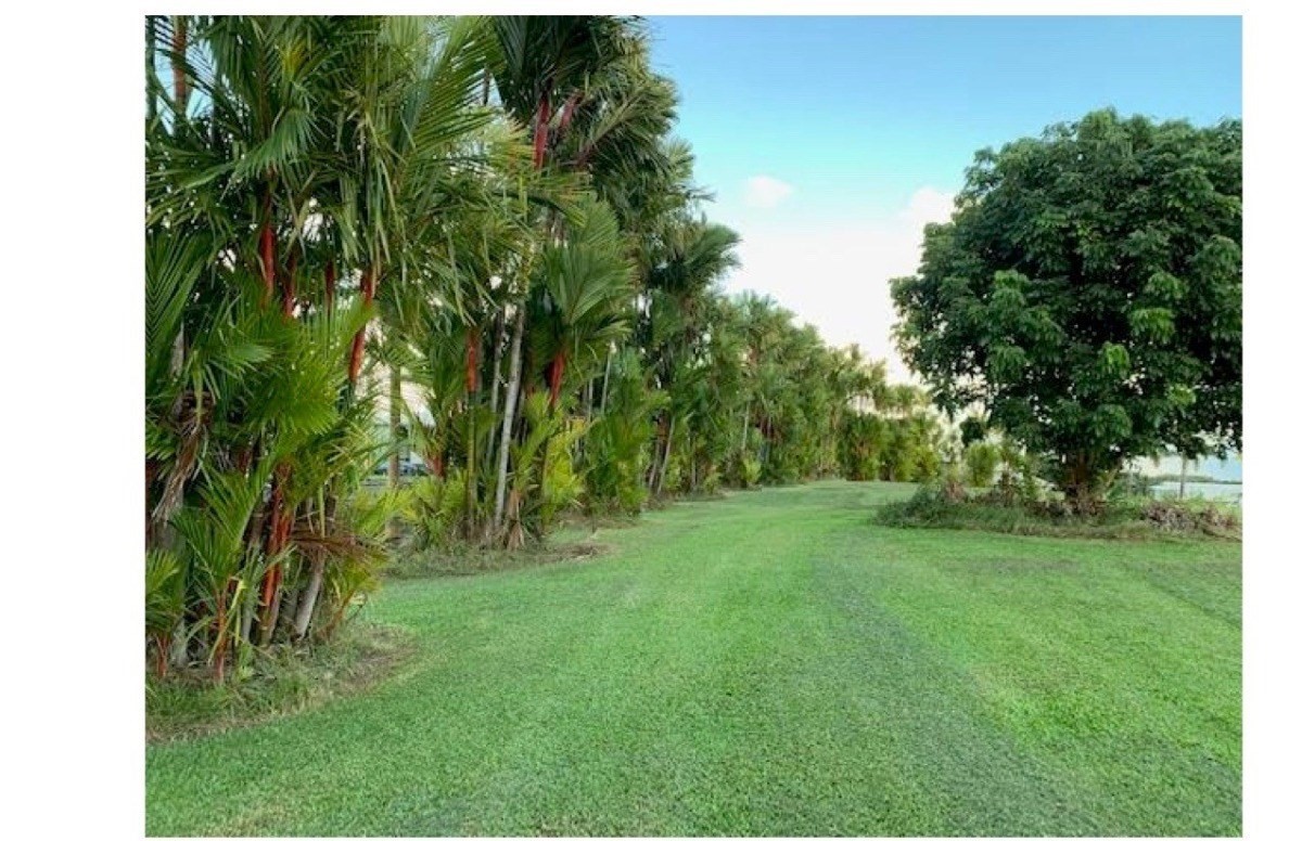 a view of a garden