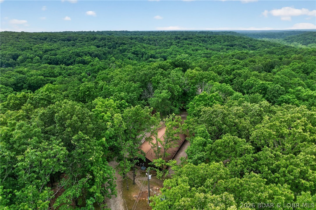 16376 Twisted Tree Road Barnett, MO 65011 - Photo 55 of 65