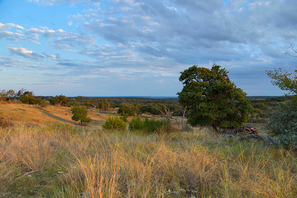 4551 Reeh Road Fredericksburg, TX 78624 - Photo 1 of 69 Main View