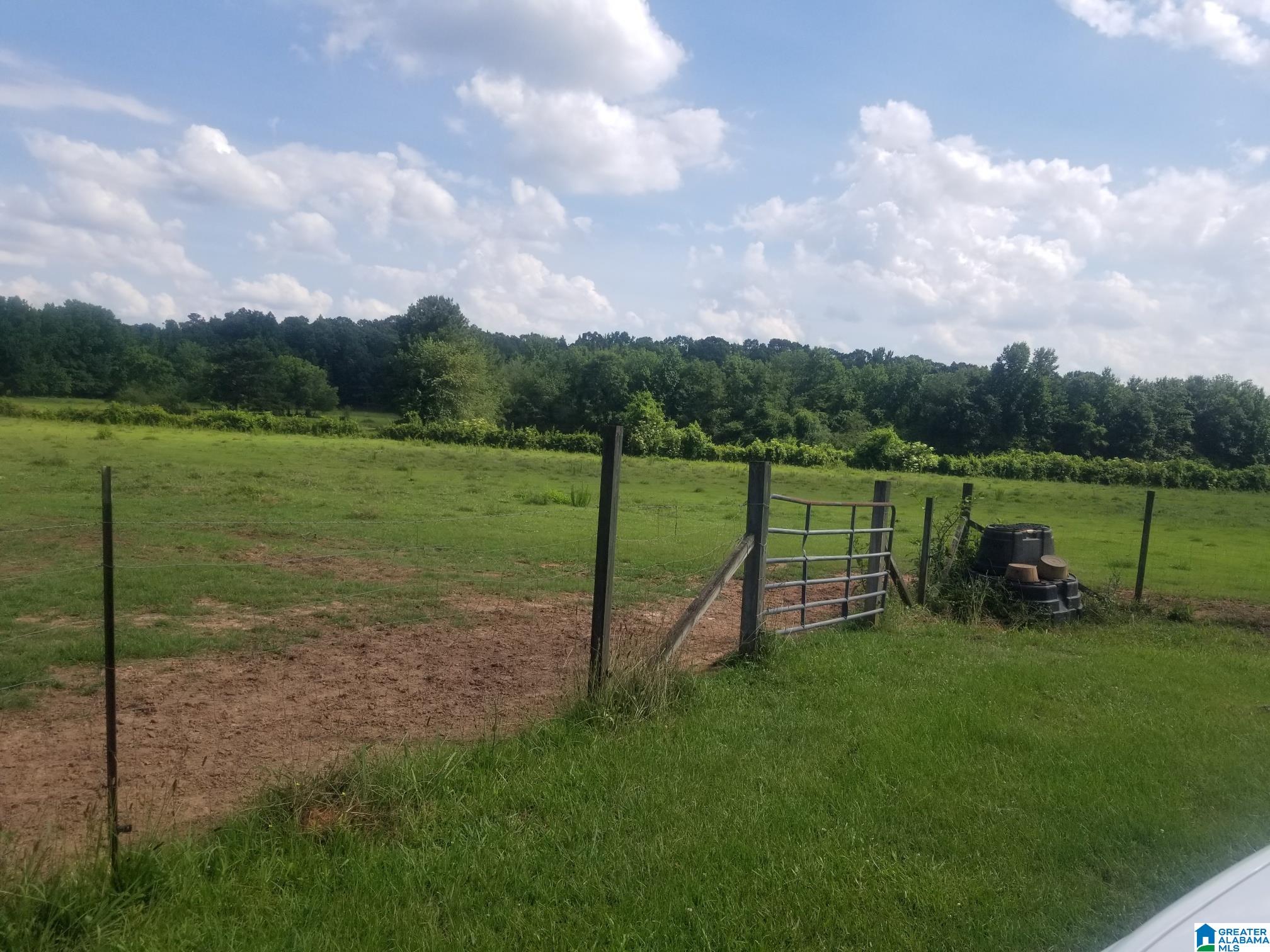 Hamby Road, Unit 1 Cropwell, AL 35054 - Photo 24 of 29