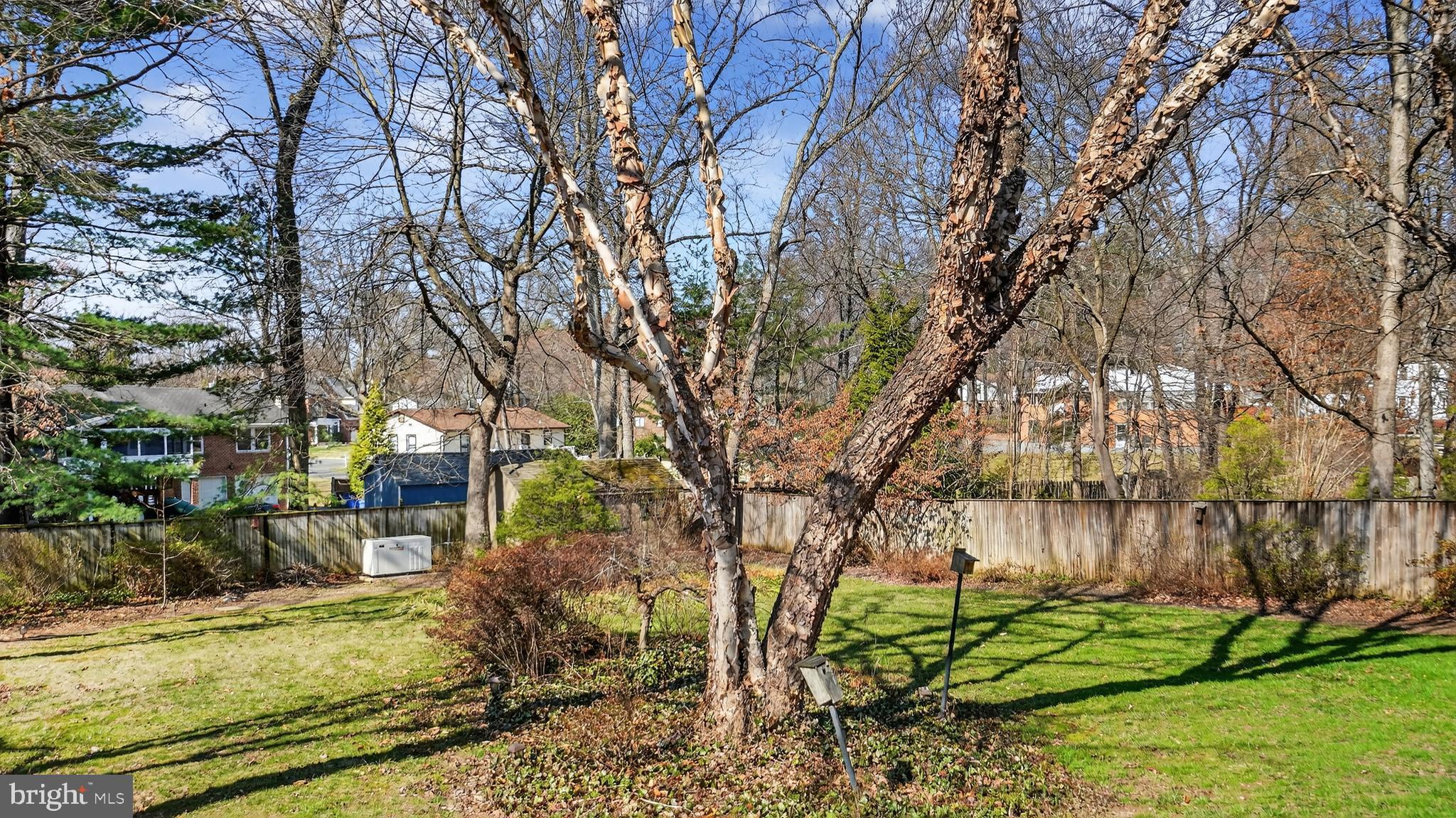 15022 Snowden Drive Silver Spring, MD 20905 - Photo 79 of 88 a backyard of a house with lots of green space