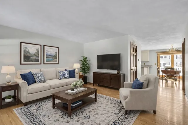 a living room with furniture a rug a window and a flat screen tv