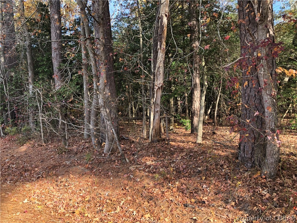 0 Myrtle Grove Lane Bohannon, VA 23021 - Photo 2 of 3 East River Rd wooded side of property-15???????????????????????????????? acres
