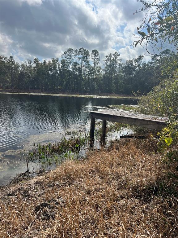 1963 Highway 20 Hawthorne, FL 32640 - Photo 3 of 12 a view of a lake with a city